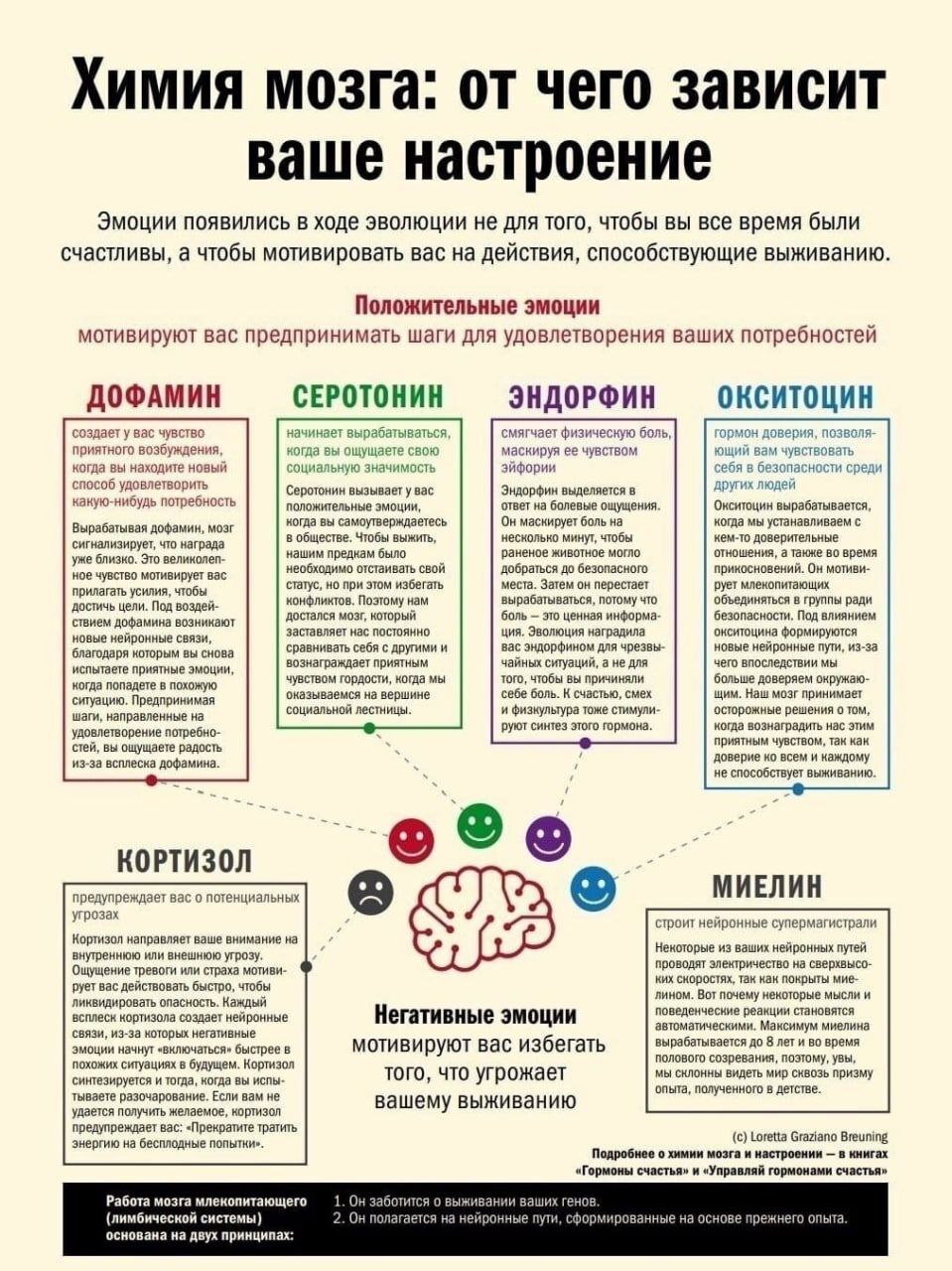 Химия мозга: от чего зависит ваше настроение | Пикабу