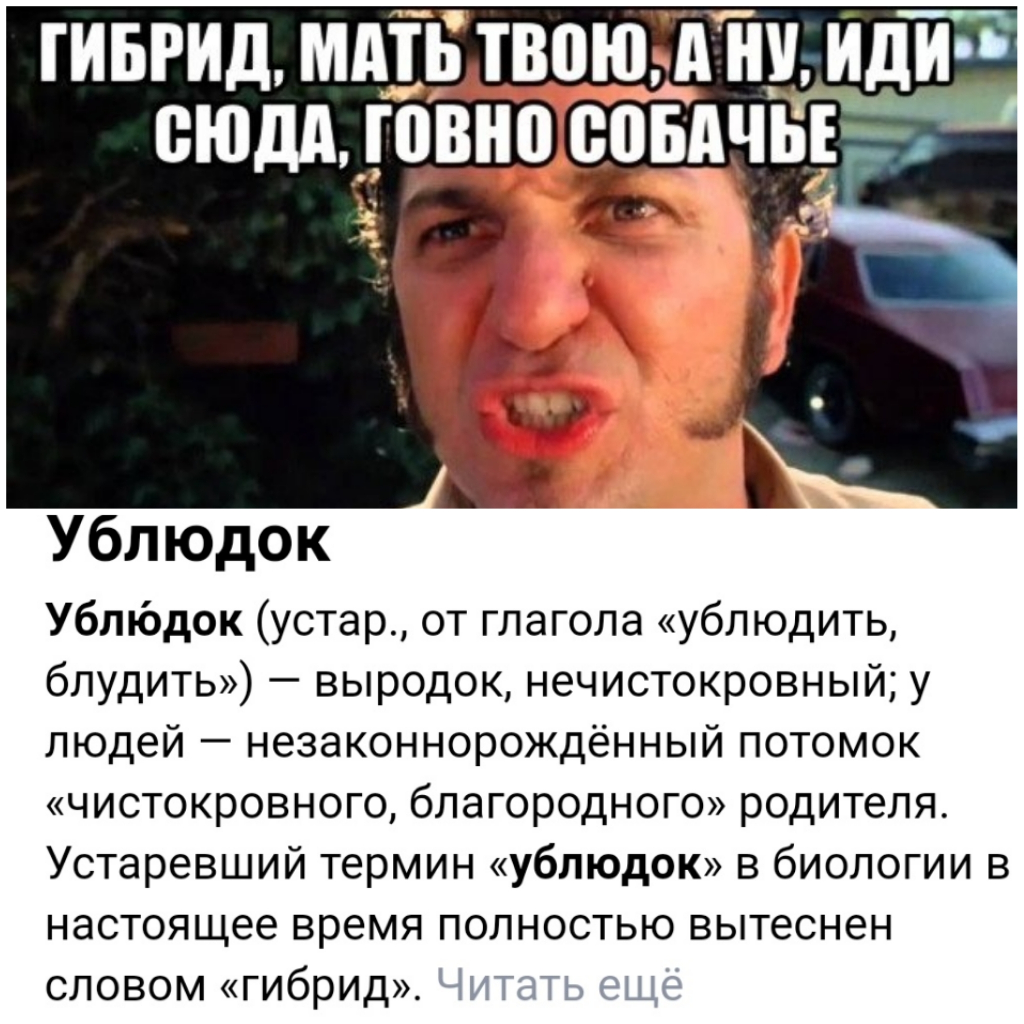 Ублюдок? Гибрид! | Пикабу