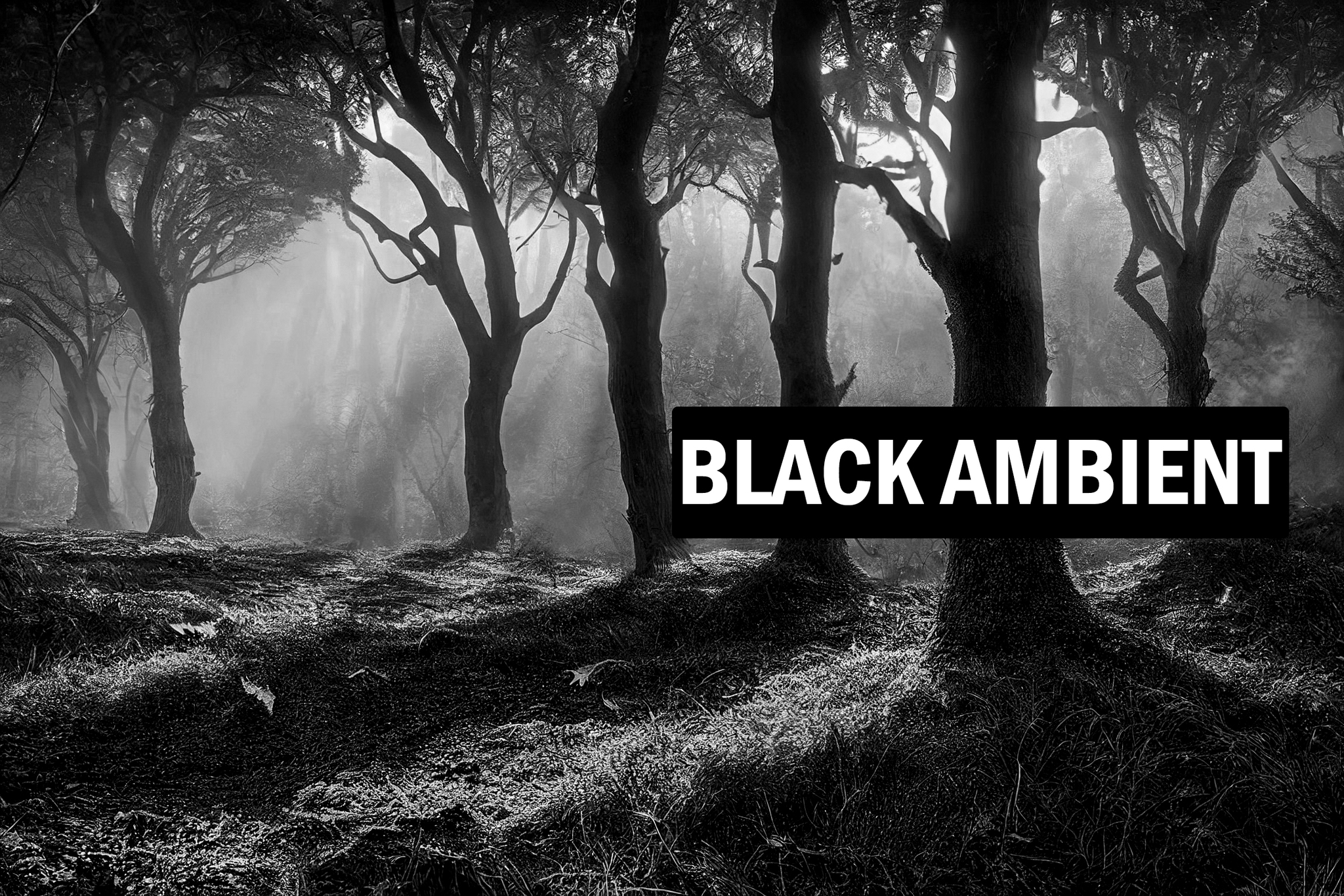 Тьма сгущается. Black Ambient | Пикабу