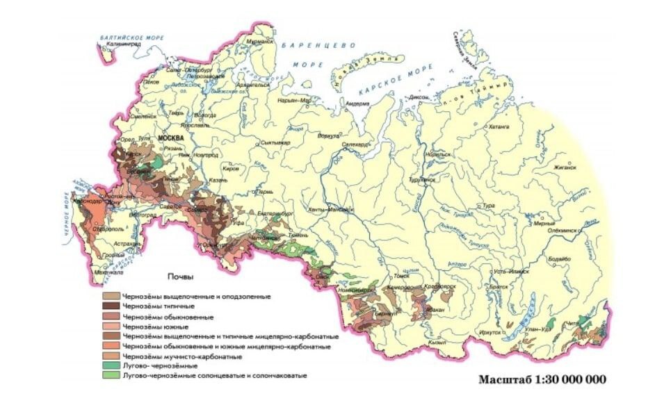 Почва | Пикабу