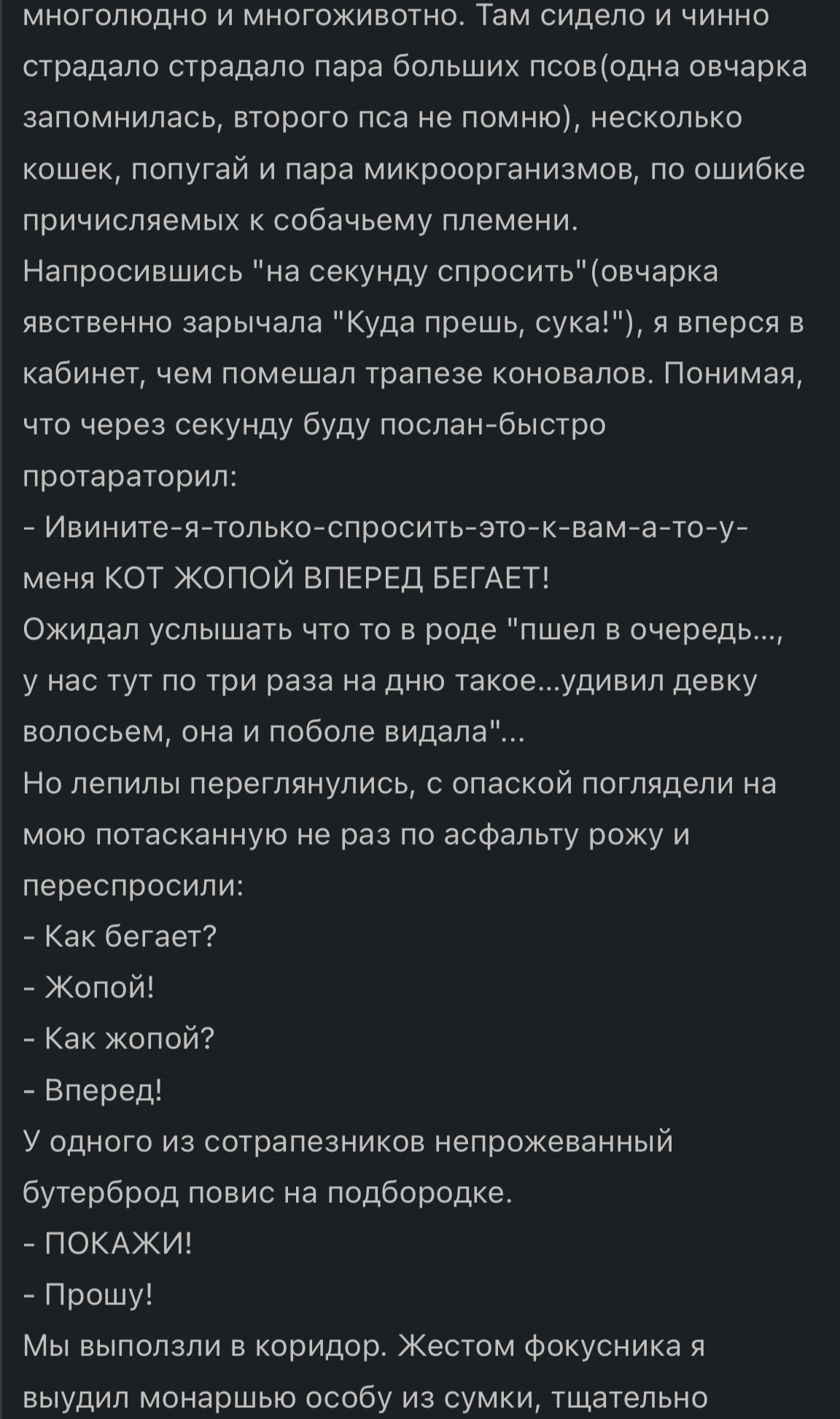 Кот блюёт задом-наперёд… | Пикабу