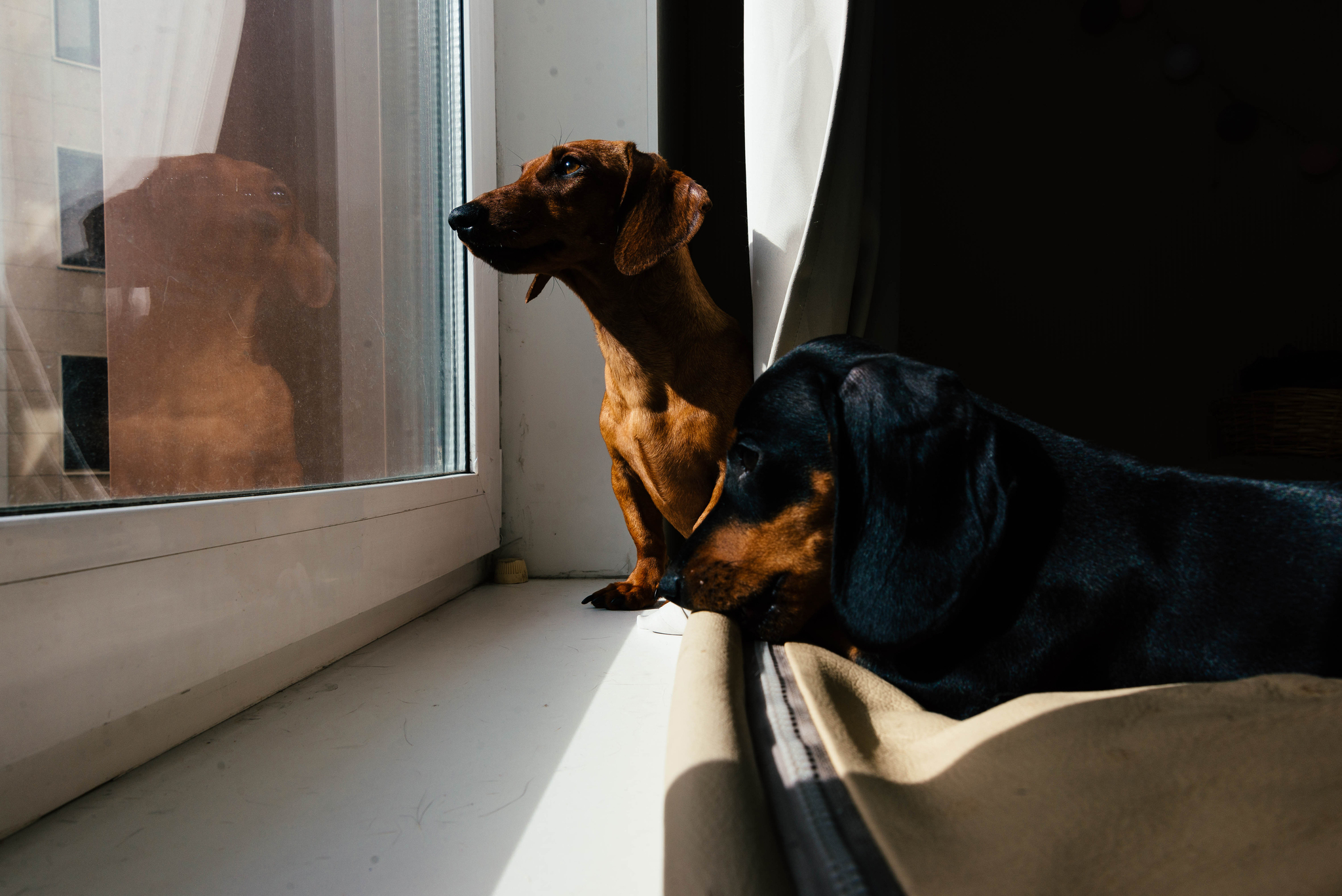 Таксисты | Пикабу