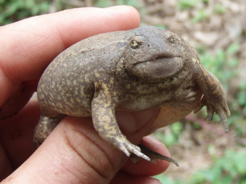 Әйелімнің үйлену тойының 9 жылдығы құтты болсын