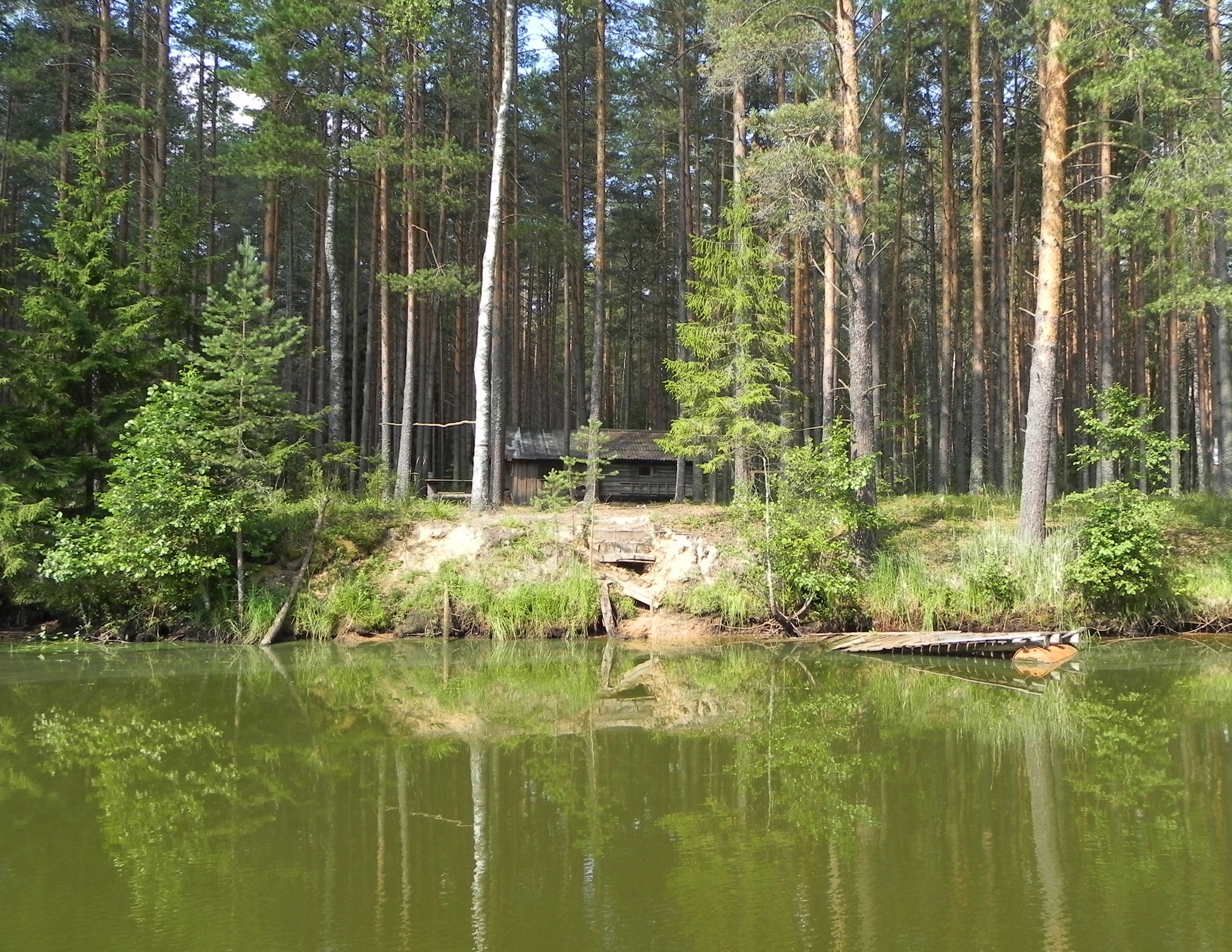 Парусный поход по Рыбинскому водохранилищу и реке Молога. ч. 6, последняя |  Пикабу