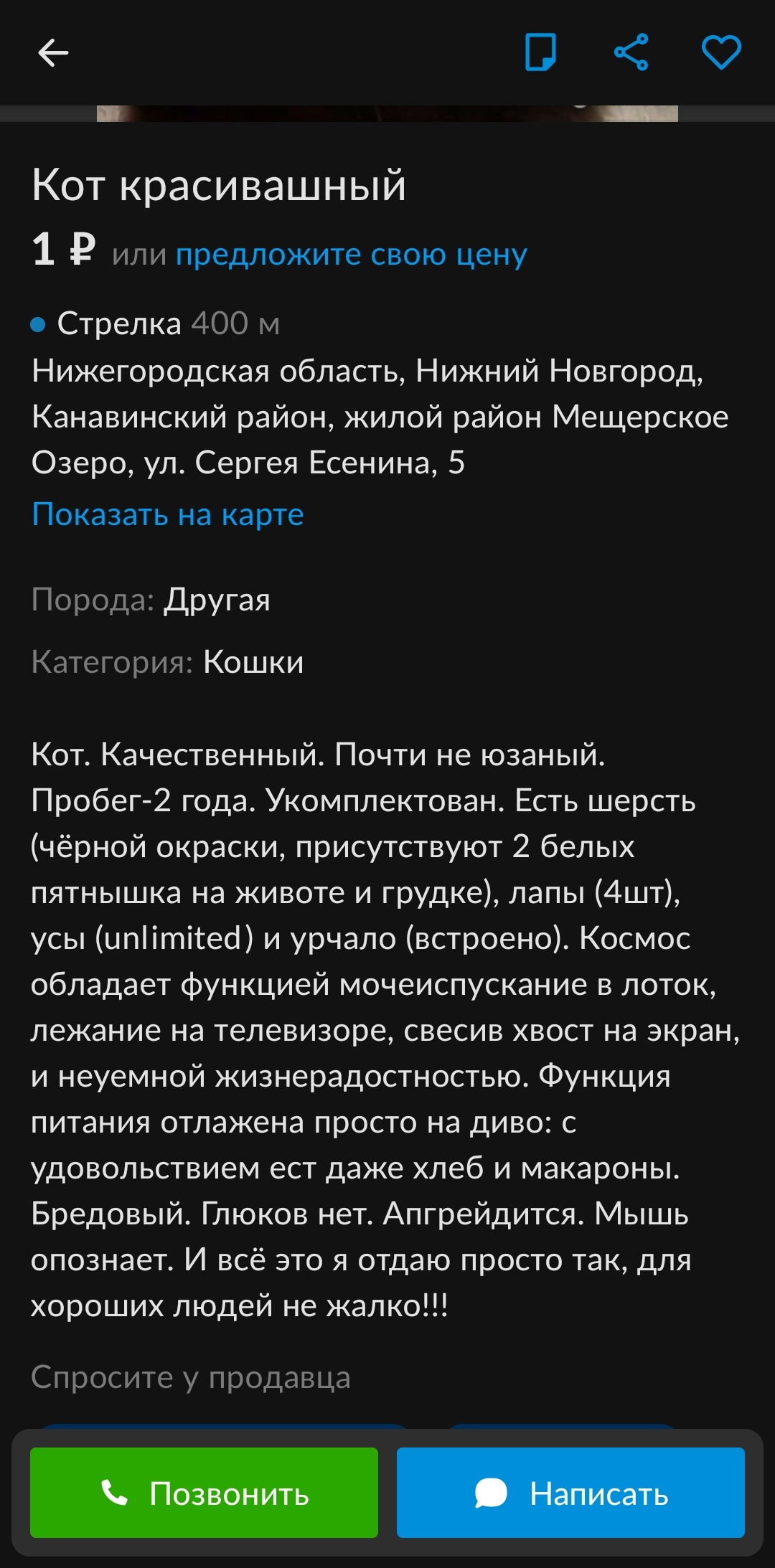 Кот красивашный! | Пикабу