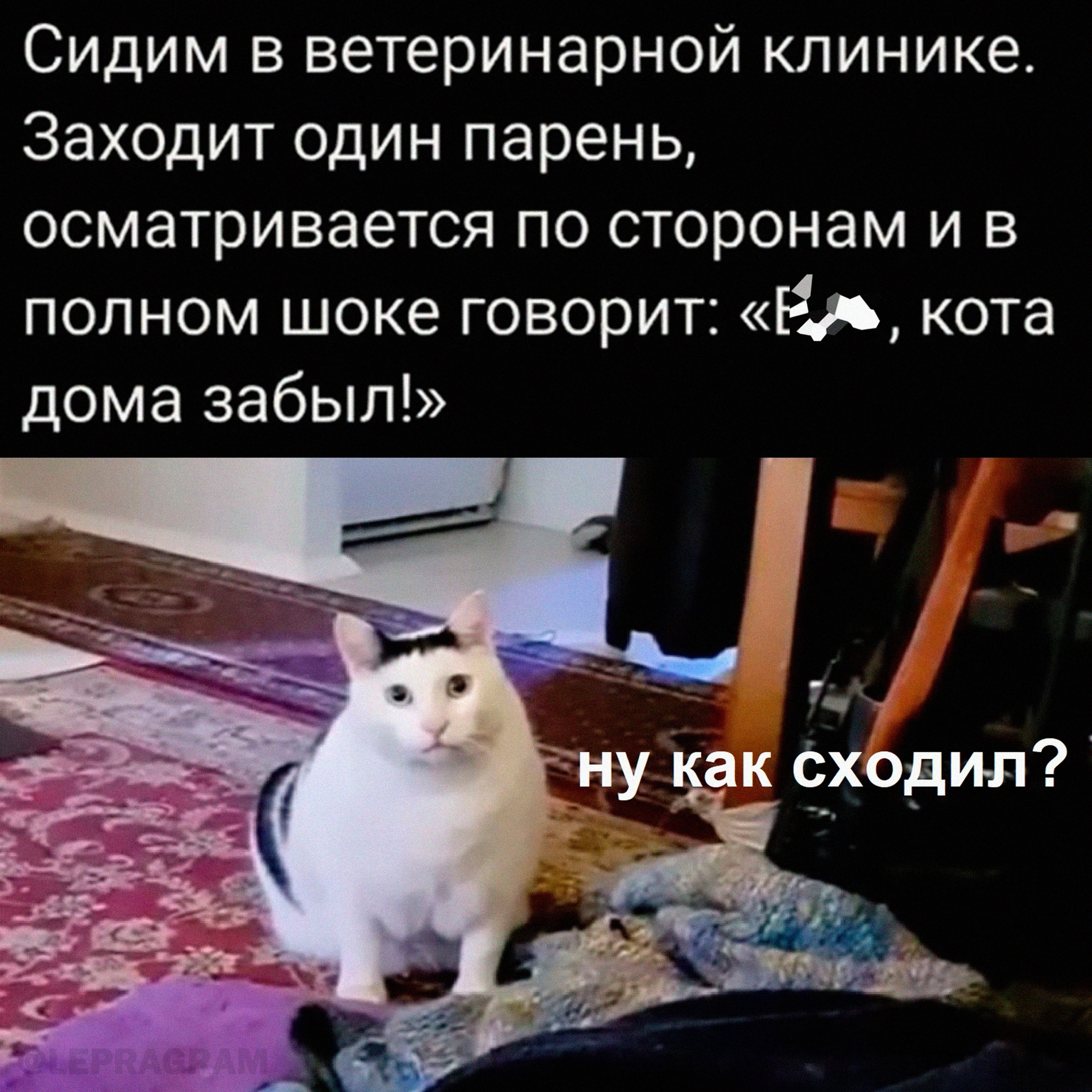 Ну хотя бы голову не забыл) | Пикабу