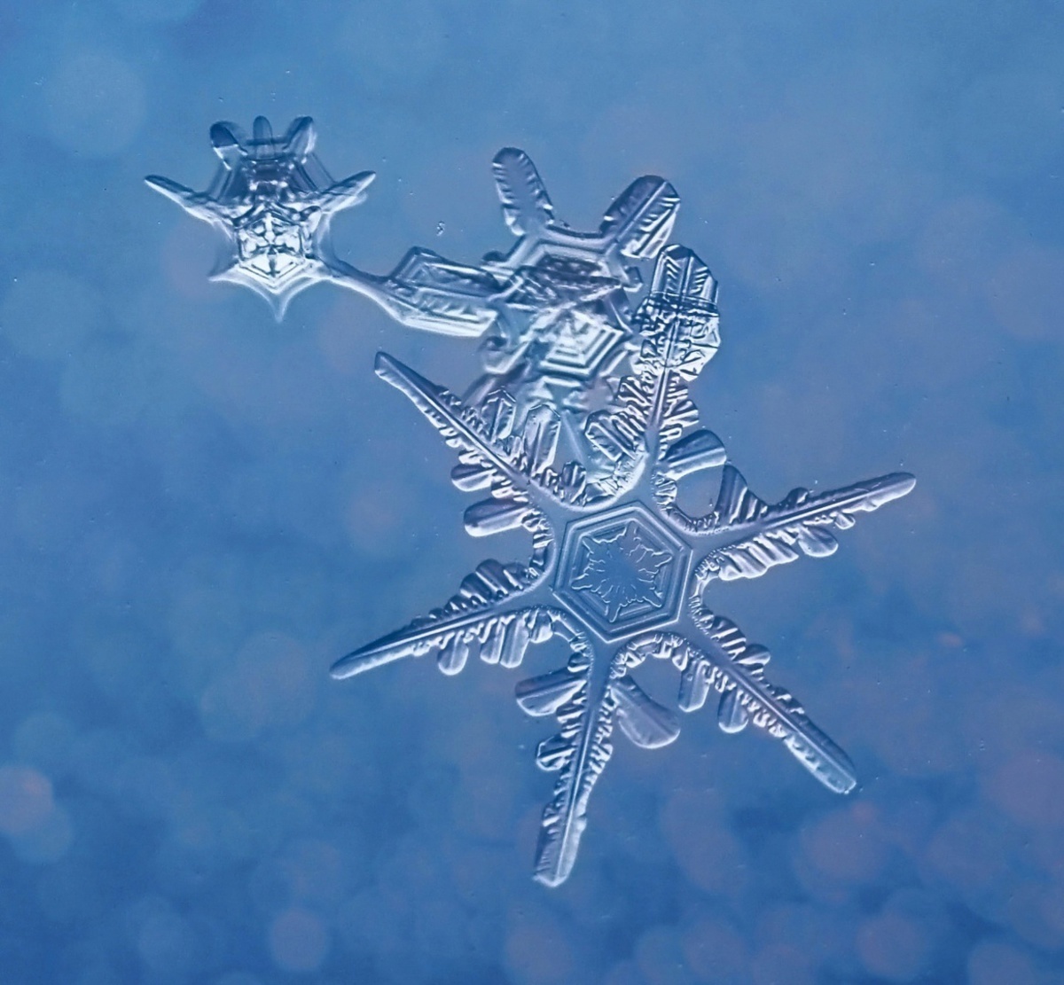 i-share-ways-to-photograph-snowflakes-on-a-camera-and-on-a-mobile-phone