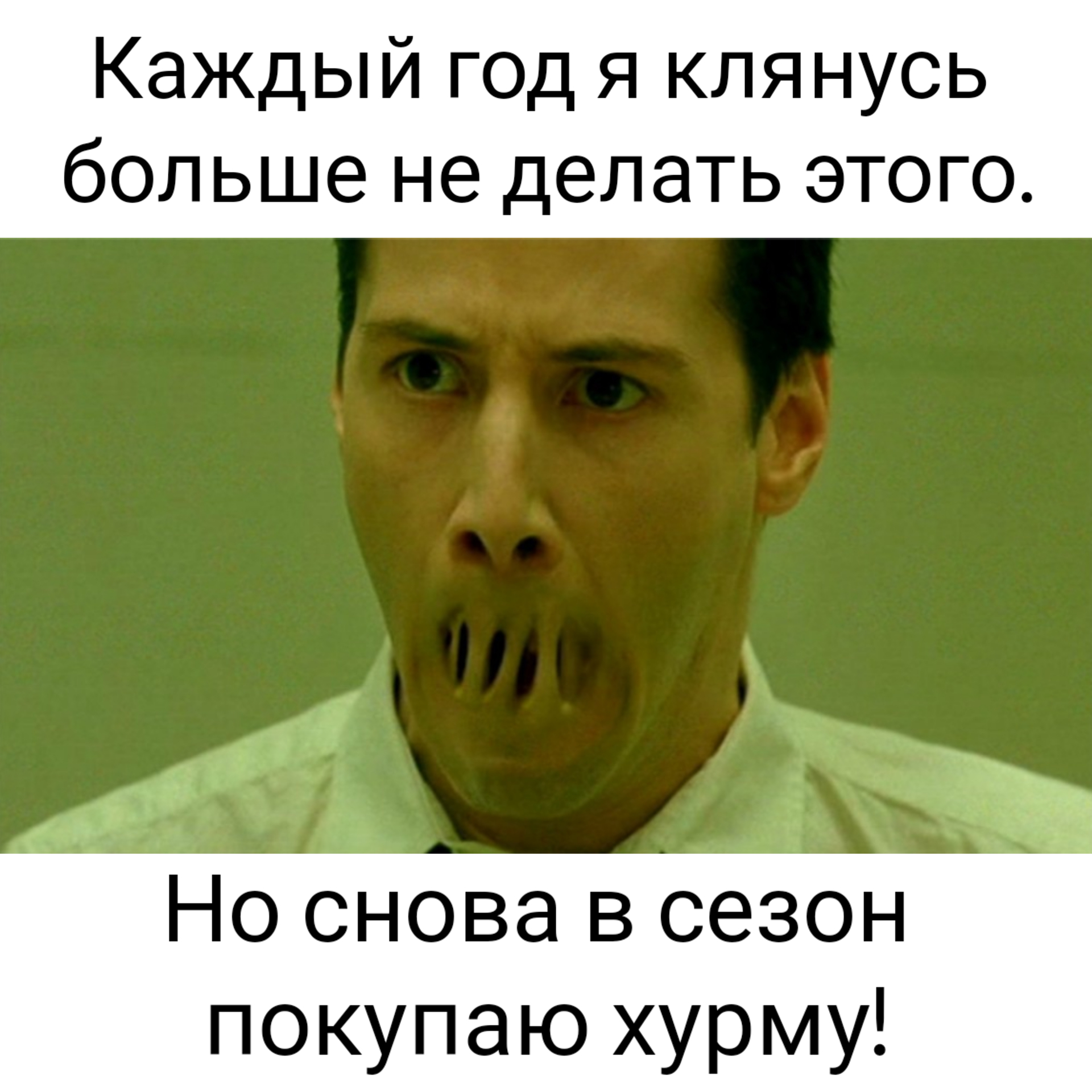 Уральские пельмени хурма вяжет. Хурма ненавижу. Котёнок хурма вяжет Мем