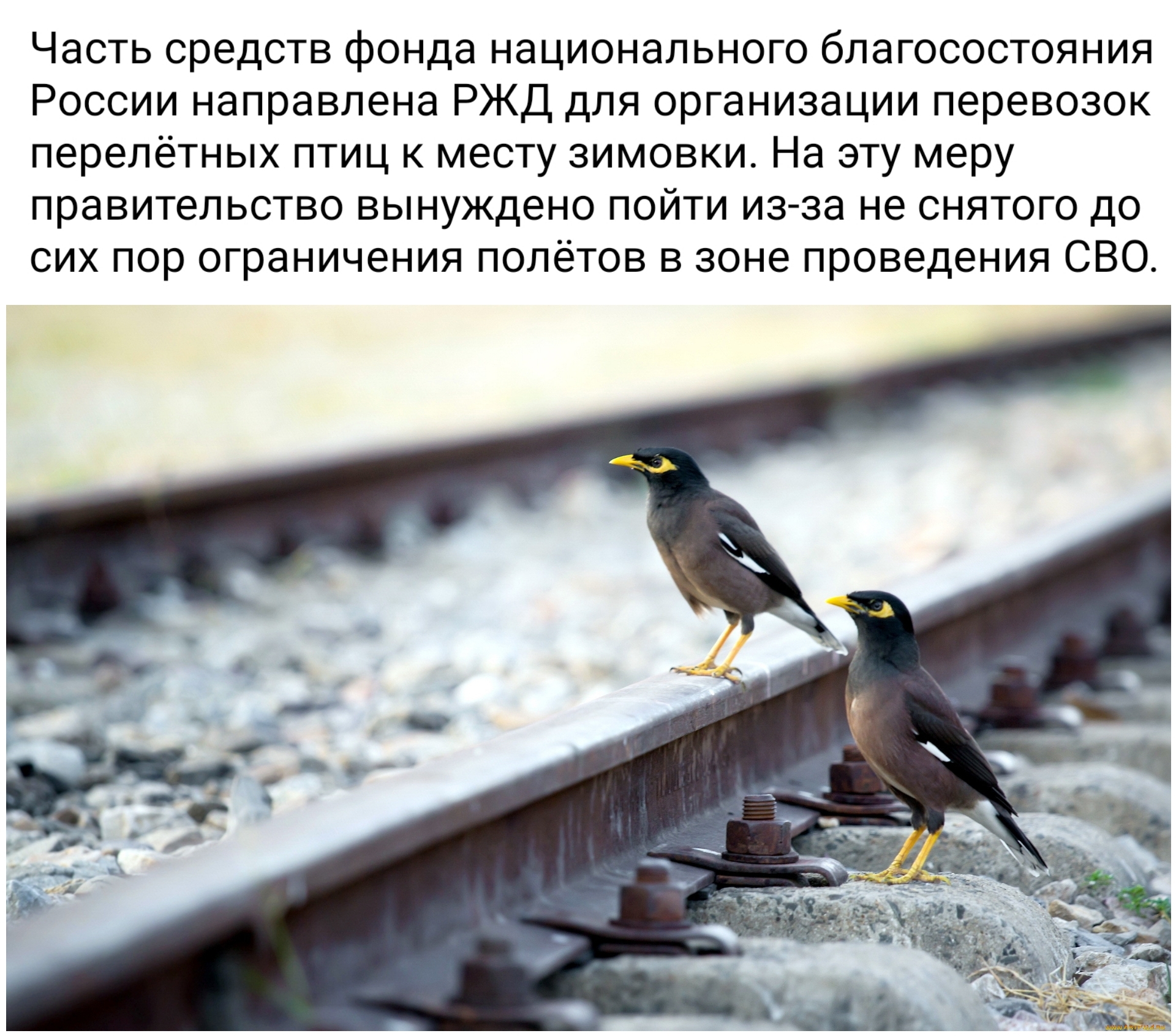 Выход из положения... | Пикабу