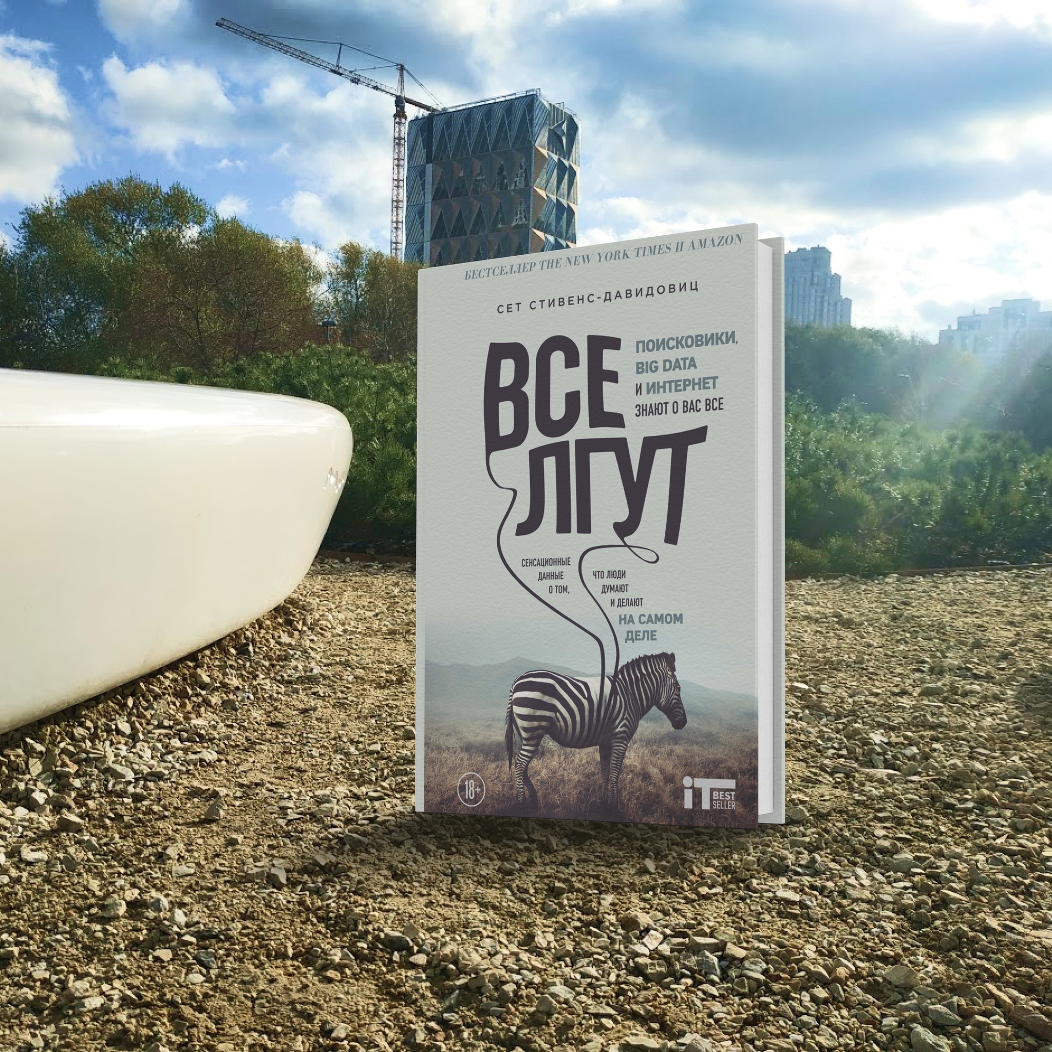 Книга о бессмысленности опросов и комментариев | Пикабу