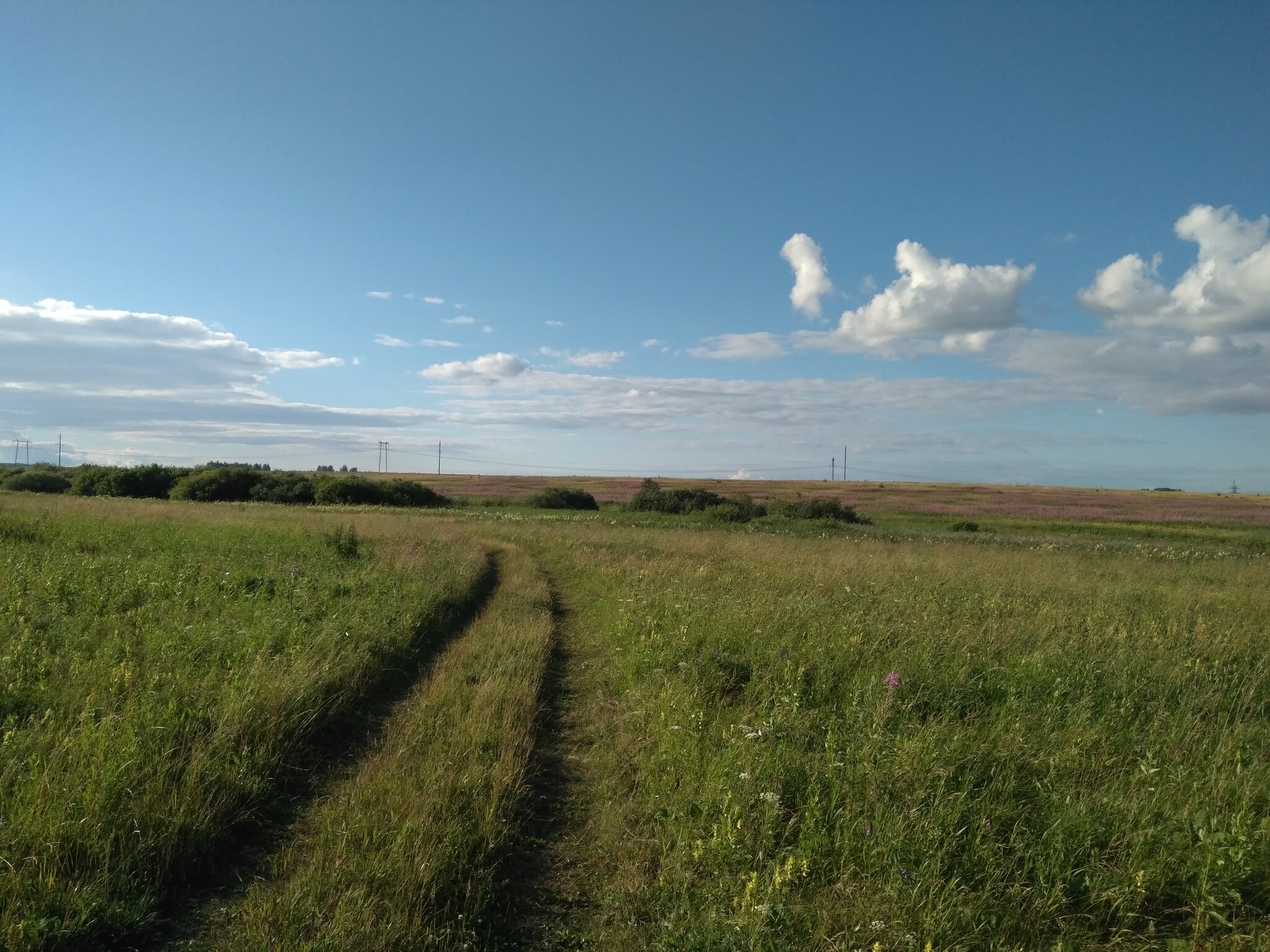 Счастливый человек | Пикабу