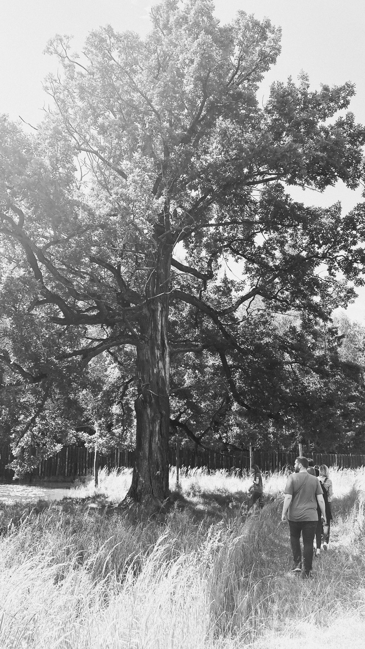 Лосиная биостанция | Пикабу