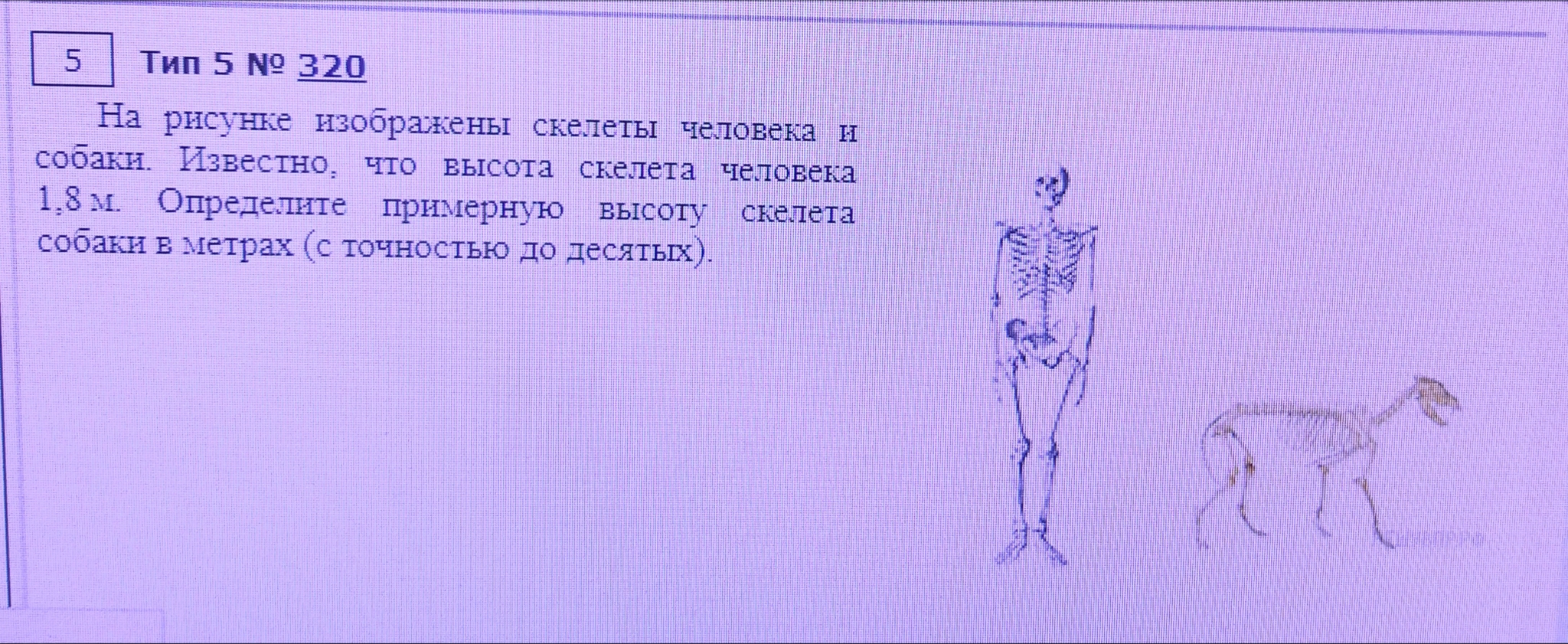 Вызывает вопросы | Пикабу