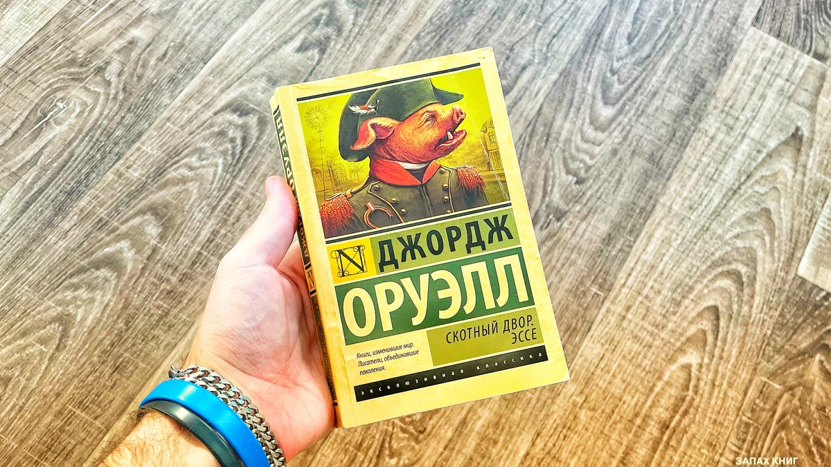 Джордж Оруэлл: истории из жизни, советы, новости, юмор и картинки — Все  посты | Пикабу