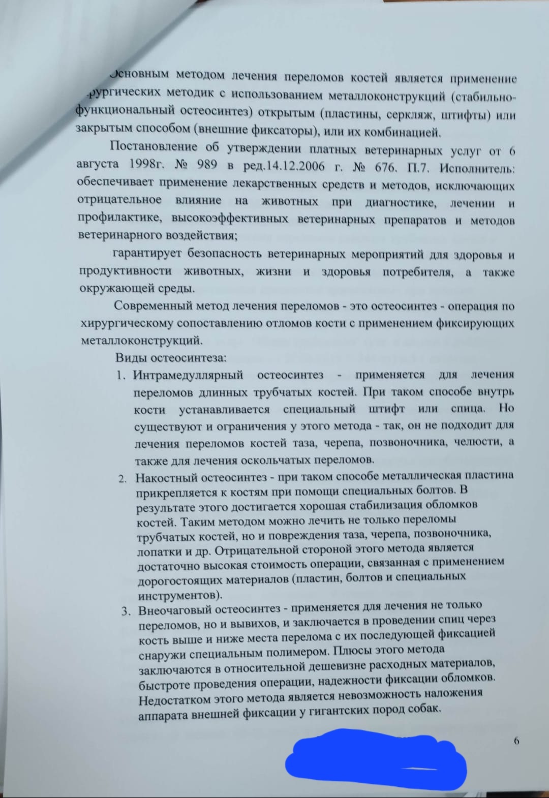 Прививки для собак: когда их ставить, и как это сделать безопасно