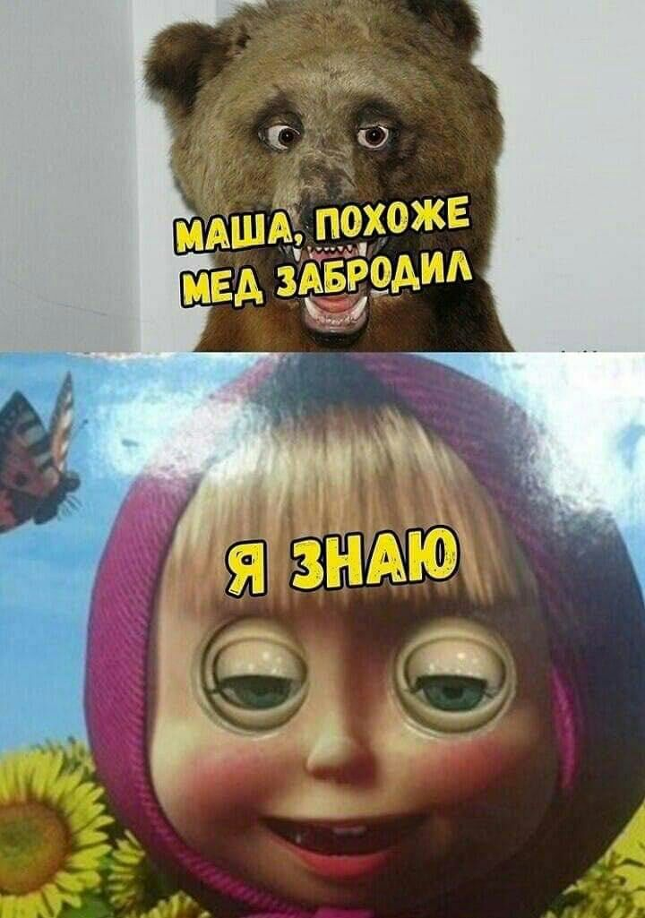 Хороший мед | Пикабу
