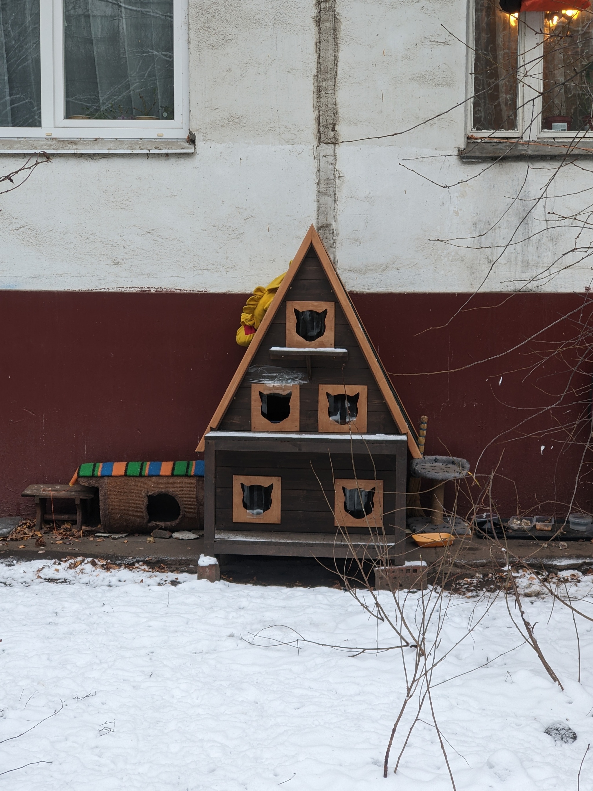 КОТтедж | Пикабу