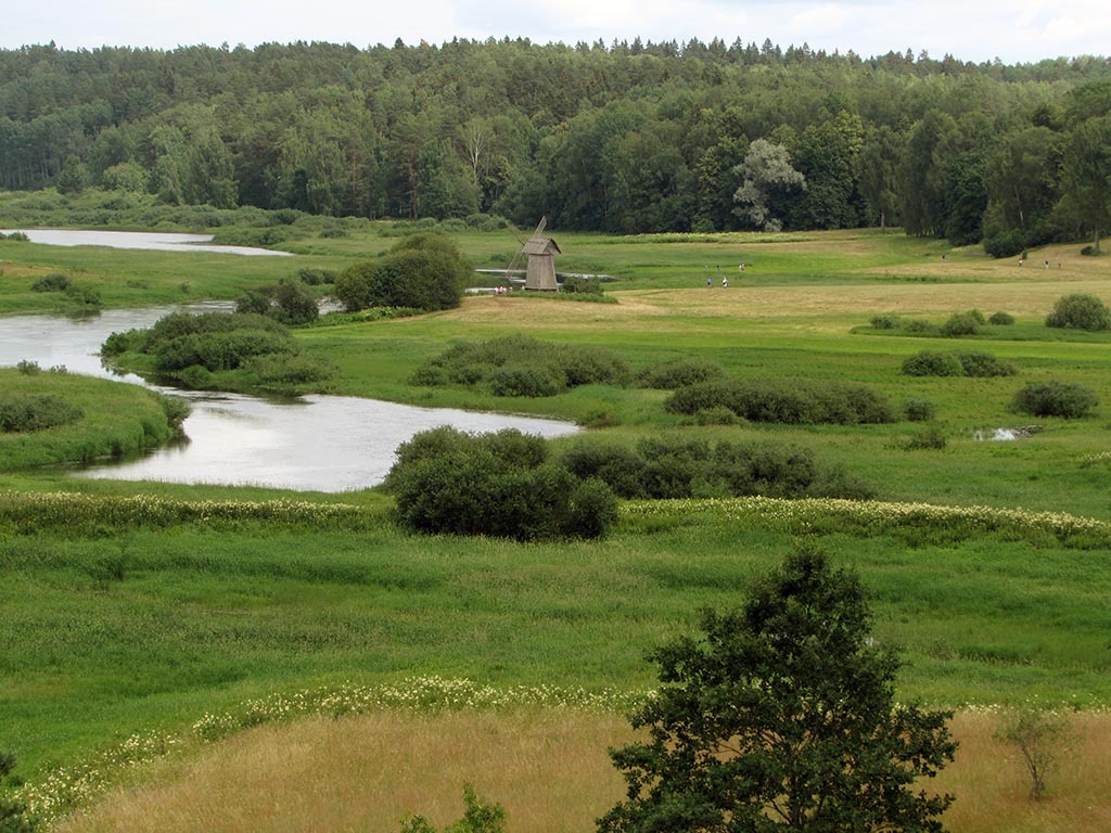 Савкина гора пушкинские горы