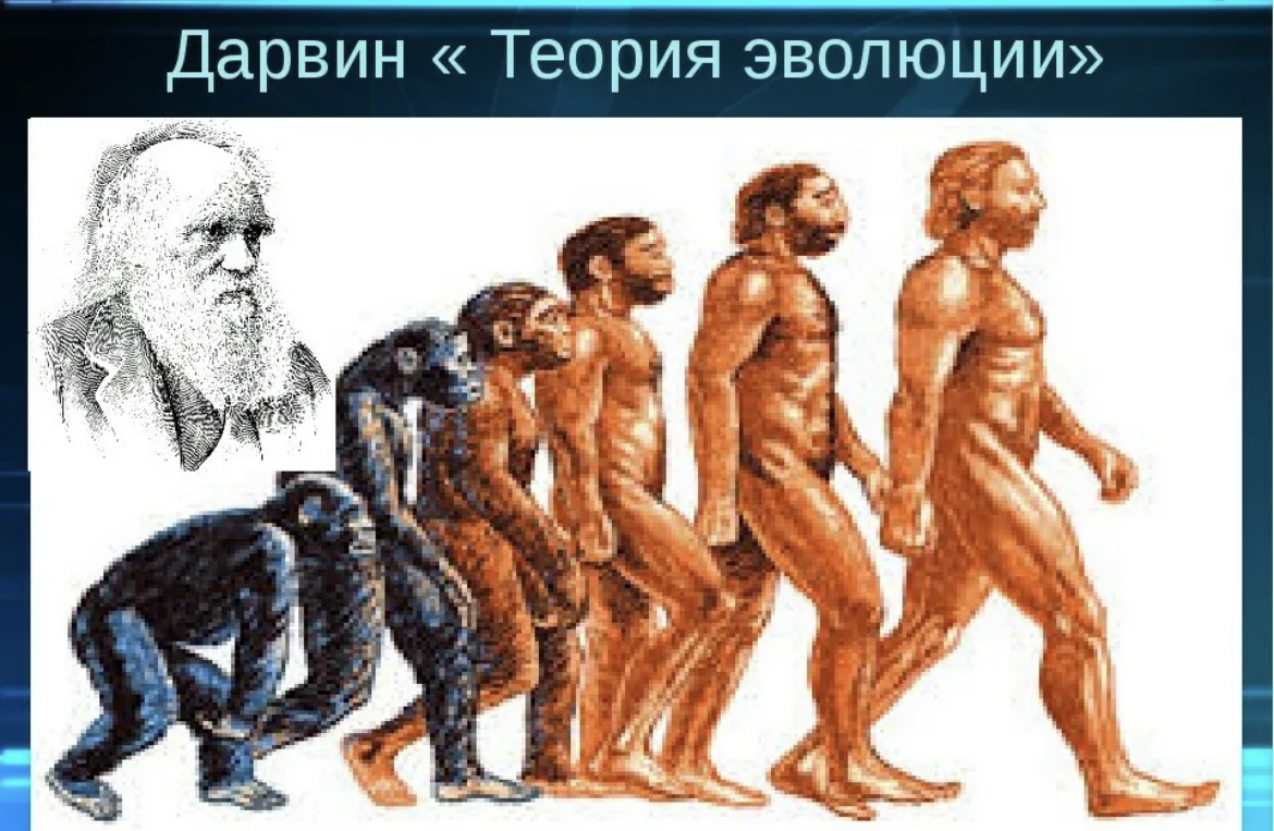 Из чего создан человек - Вопросы и ответы