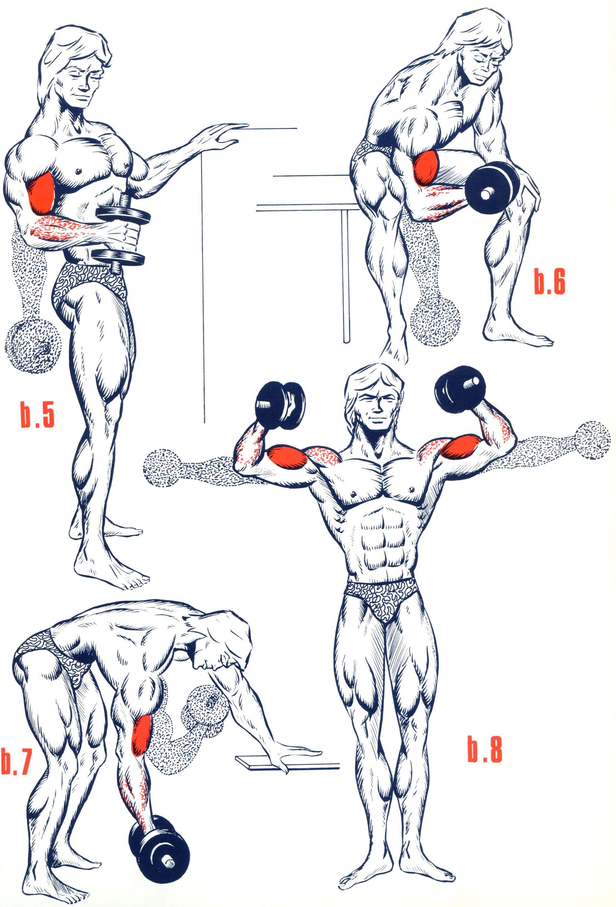 Jaké cviky vám doma napumpují bicepsy?