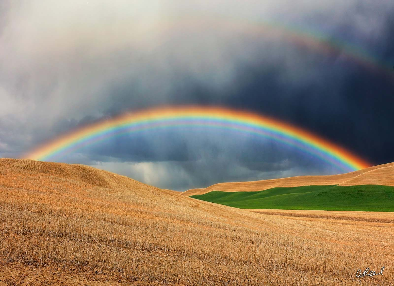 Rainbow | Пикабу