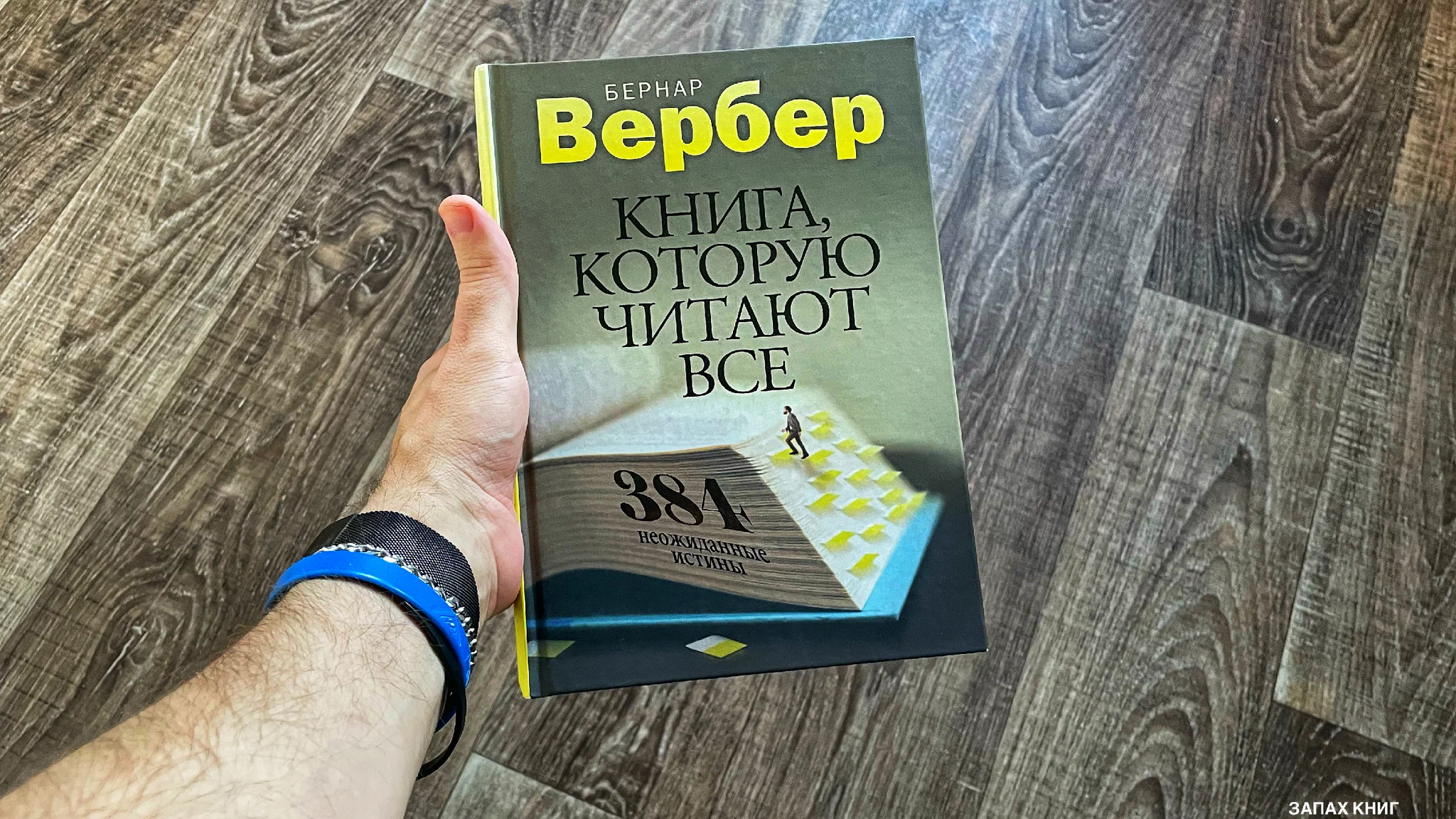 Рецензия: истории из жизни, советы, новости, юмор и картинки — Лучшее,  страница 33 | Пикабу