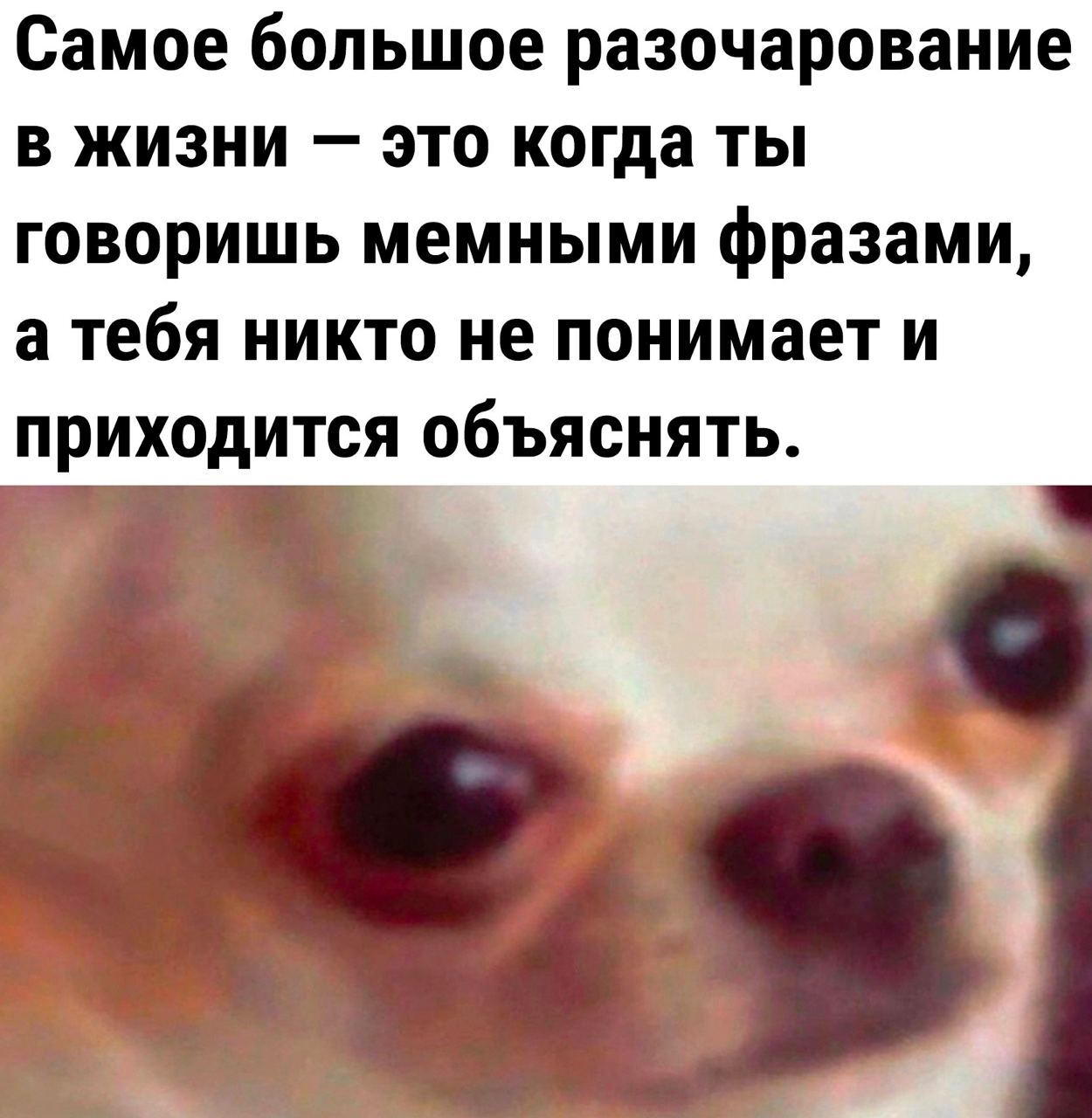 Я только пришёл на работу, а уже устал. Фраза которая не требует объяснения  | Пикабу