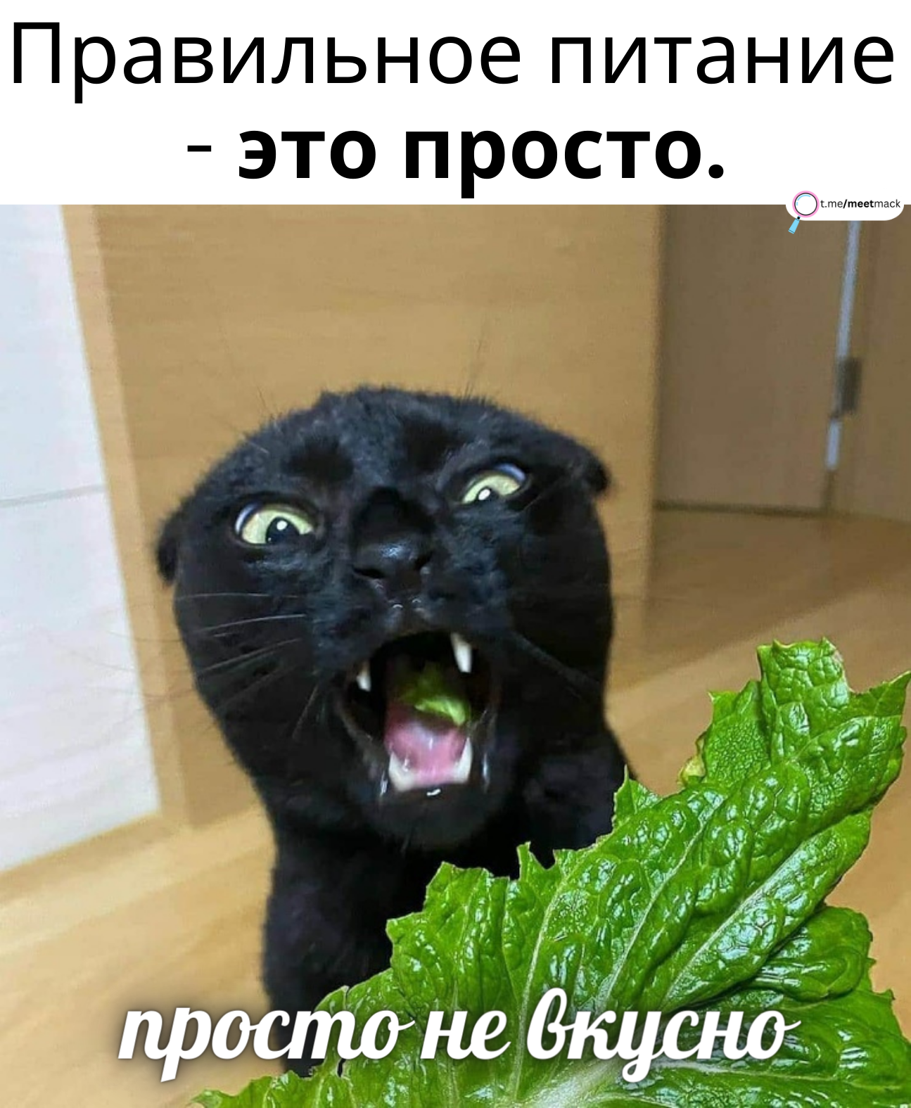 Правильное питание | Пикабу