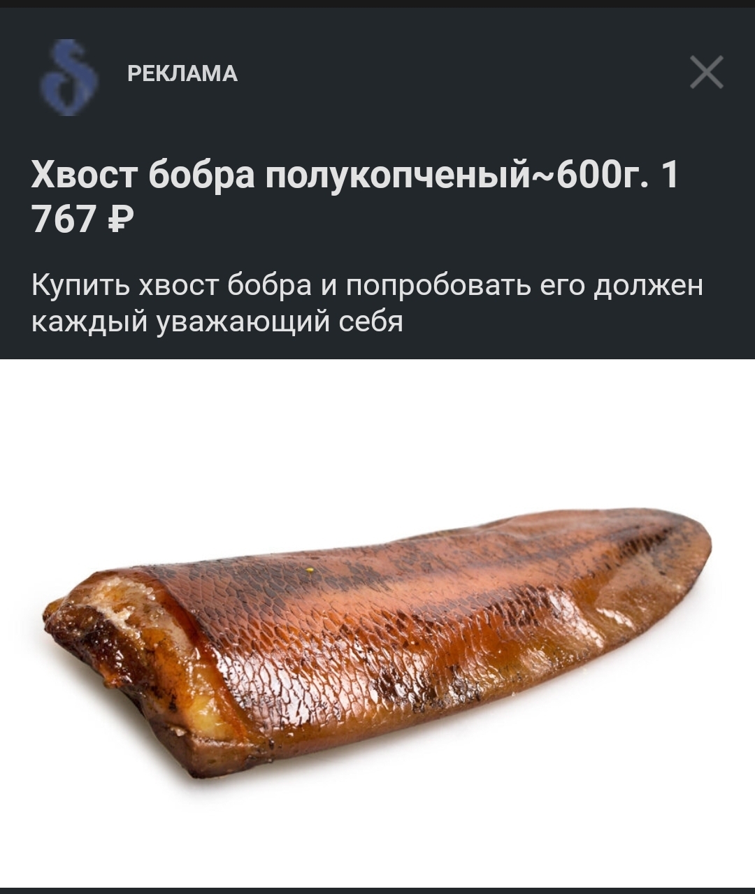 Хвост бобра