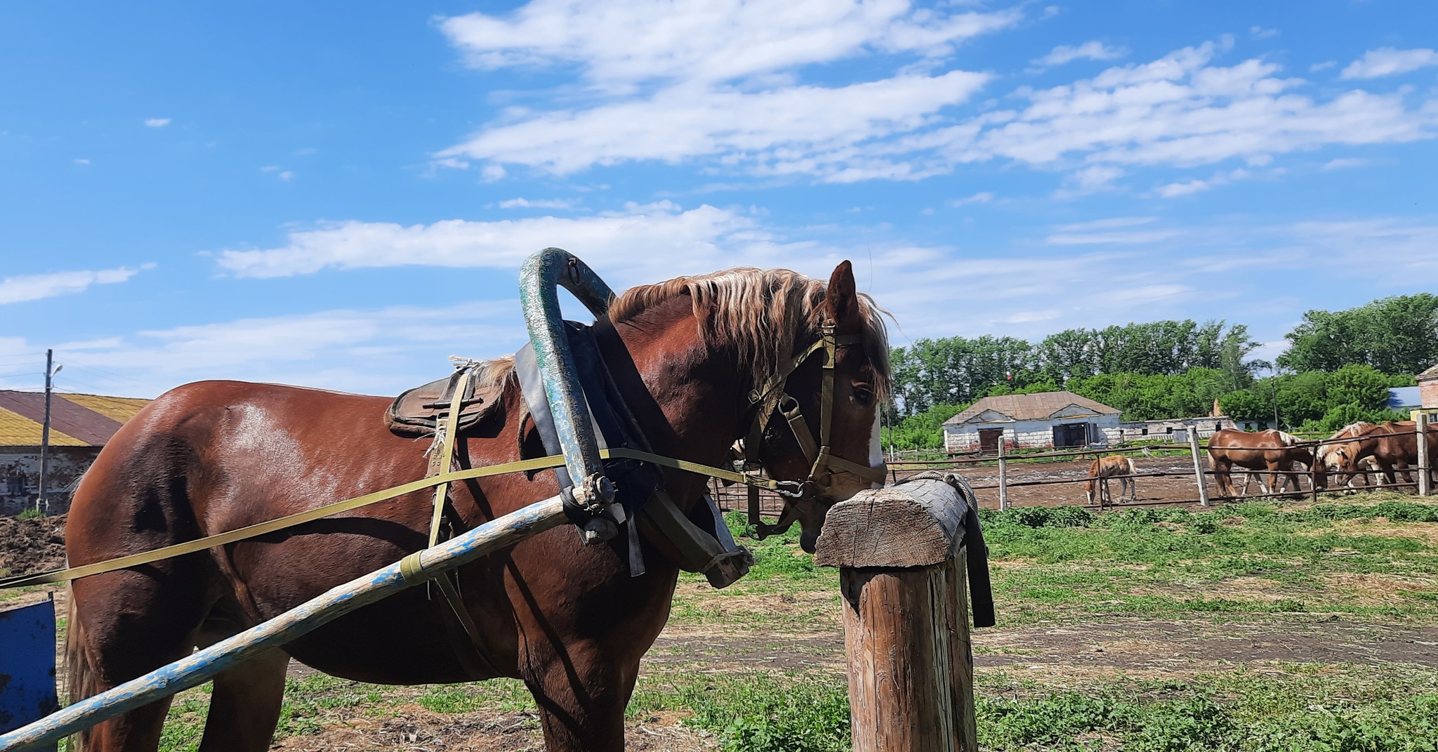 Советские тяжеловозы. Сейчас | Пикабу