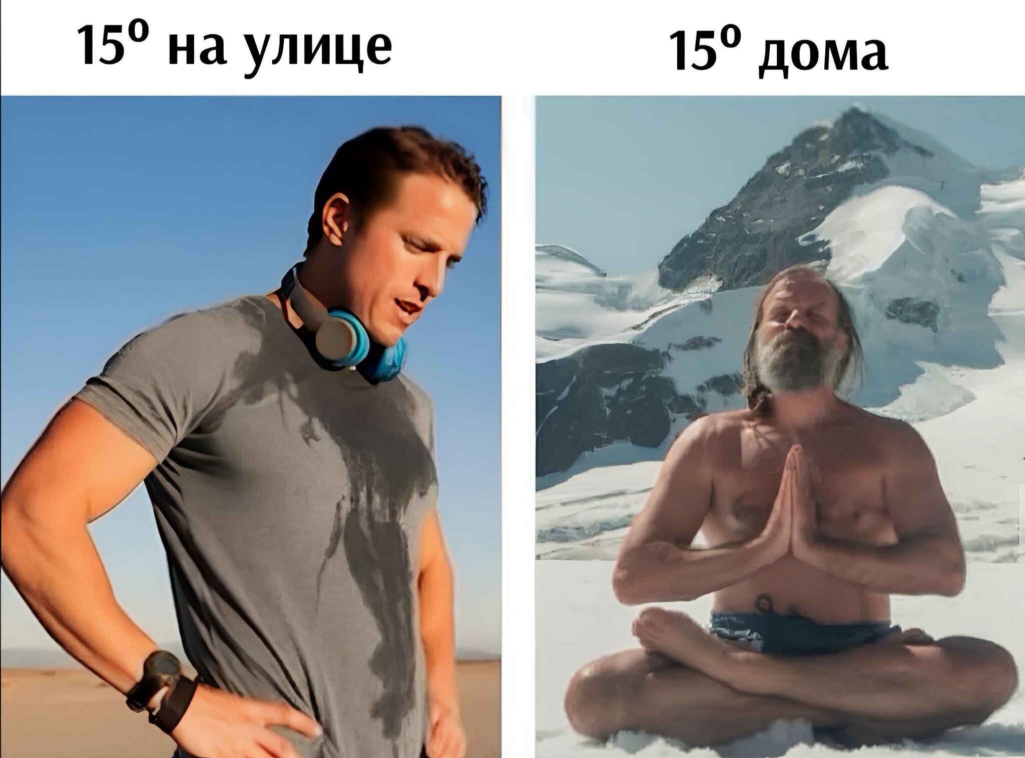 Meme temps. Телеграм канал Мем. Канал Мем. Мемы про температуру. Температура Мем.