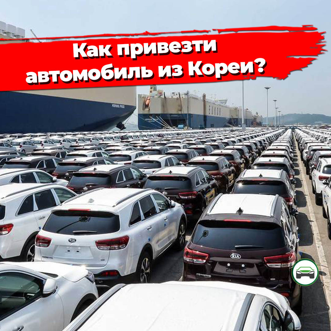 Как самостоятельно привезти автомобиль из Кореи? | Пикабу