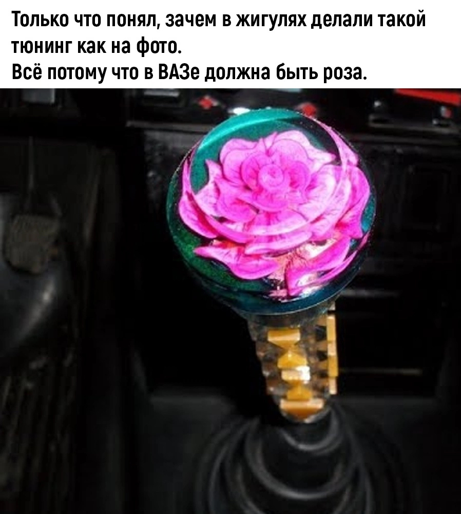 Роза в ВАЗе | Пикабу