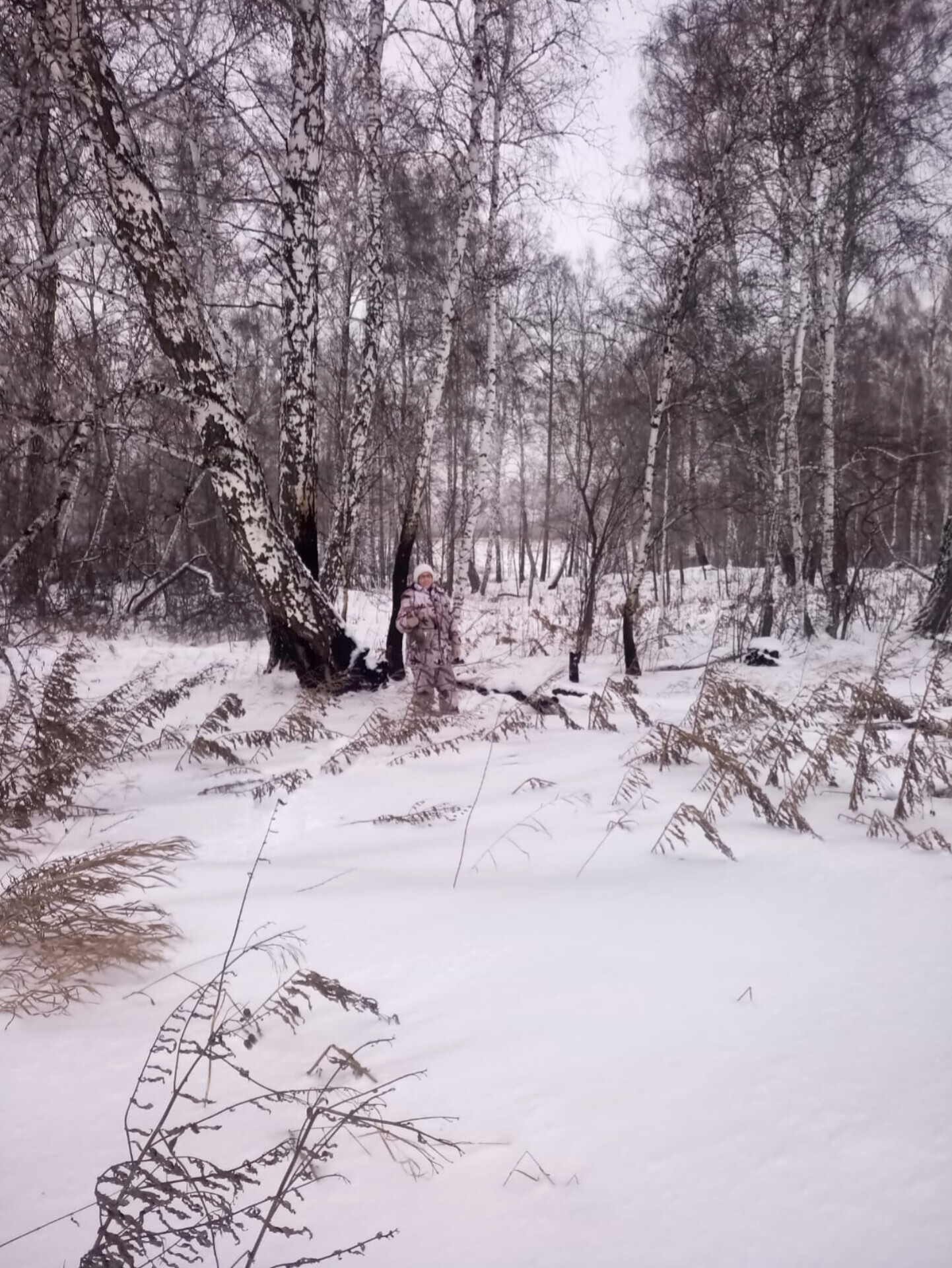 Зима в полях | Пикабу