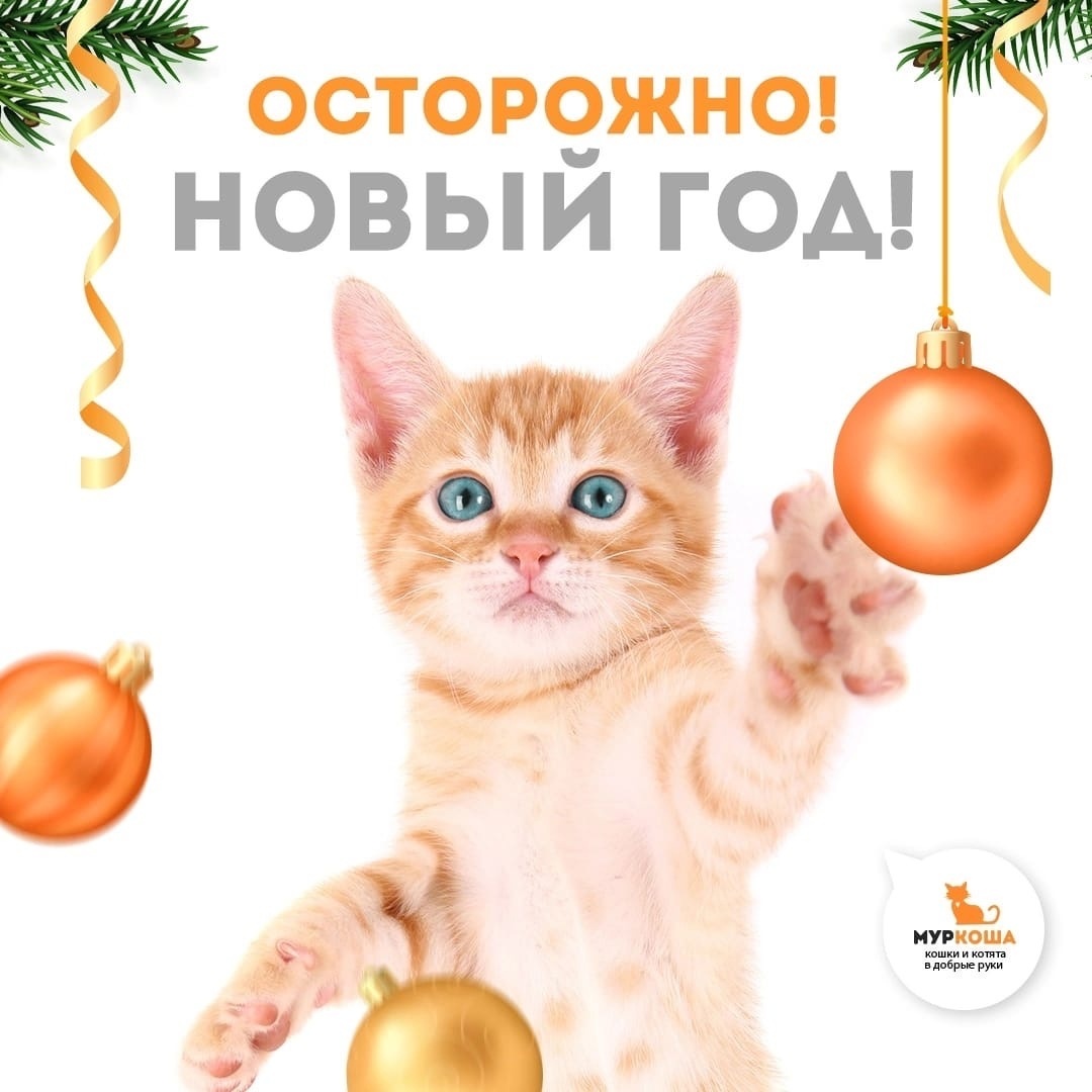 Осторожно, Новый год!(или Инструкция от 