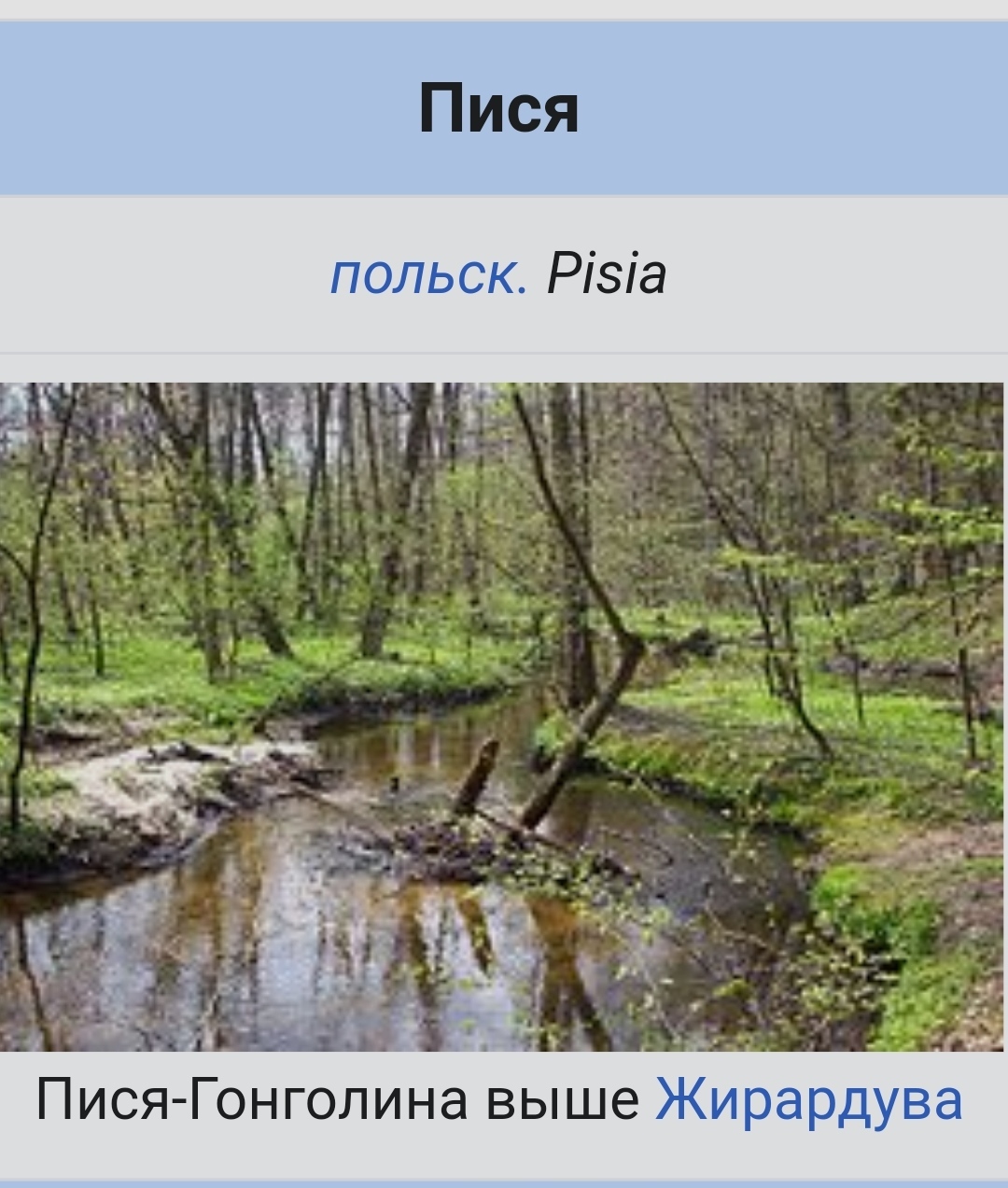 Пися Польская река | Пикабу