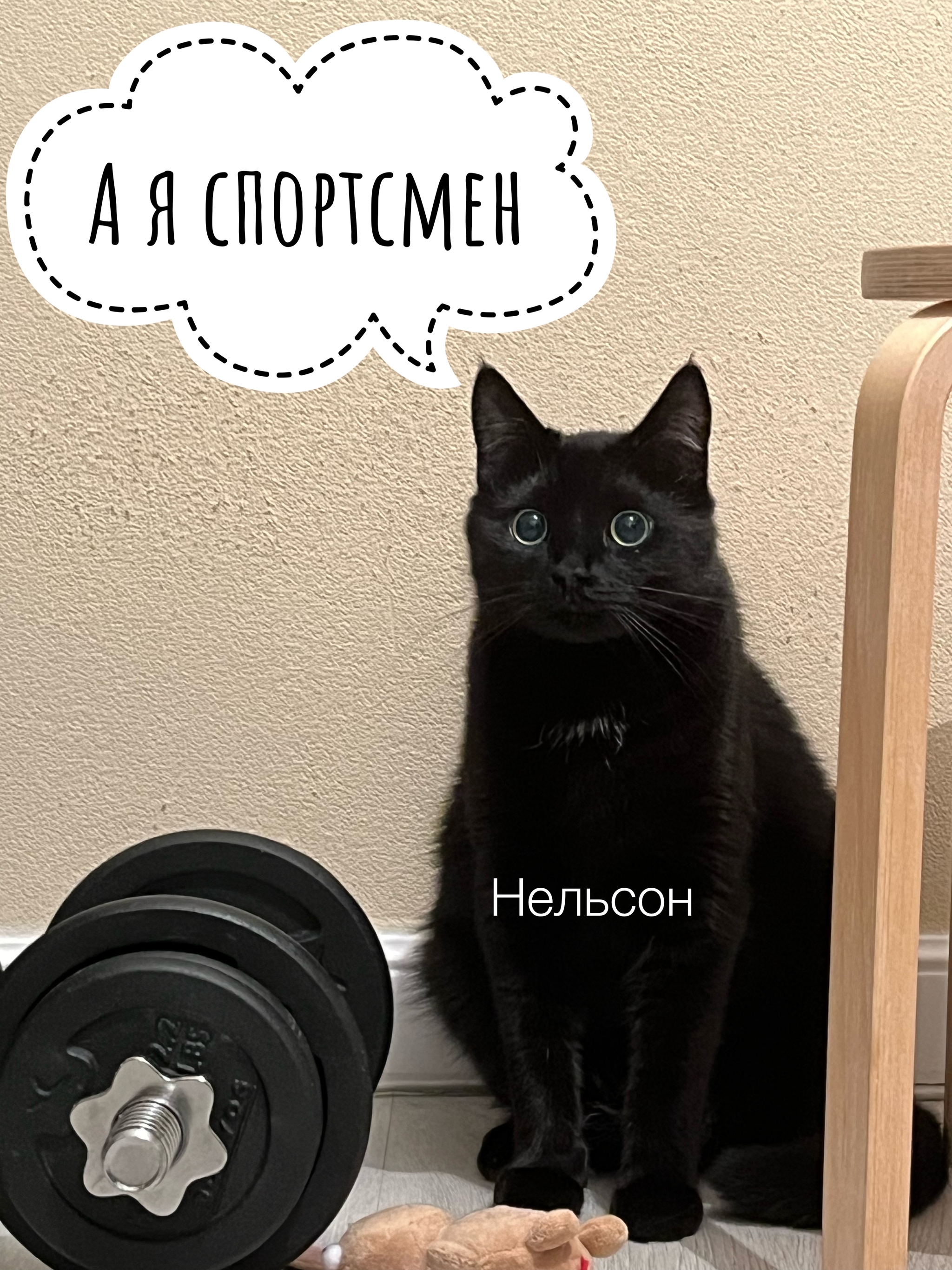 Следствие в шоке