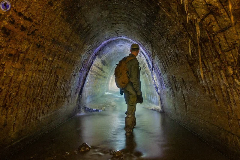 белая глинка. михаил иванович глинка (1804—1857). рыба похожая на плотву с белыми глазами. глинка портрет композитора. белая глинка.