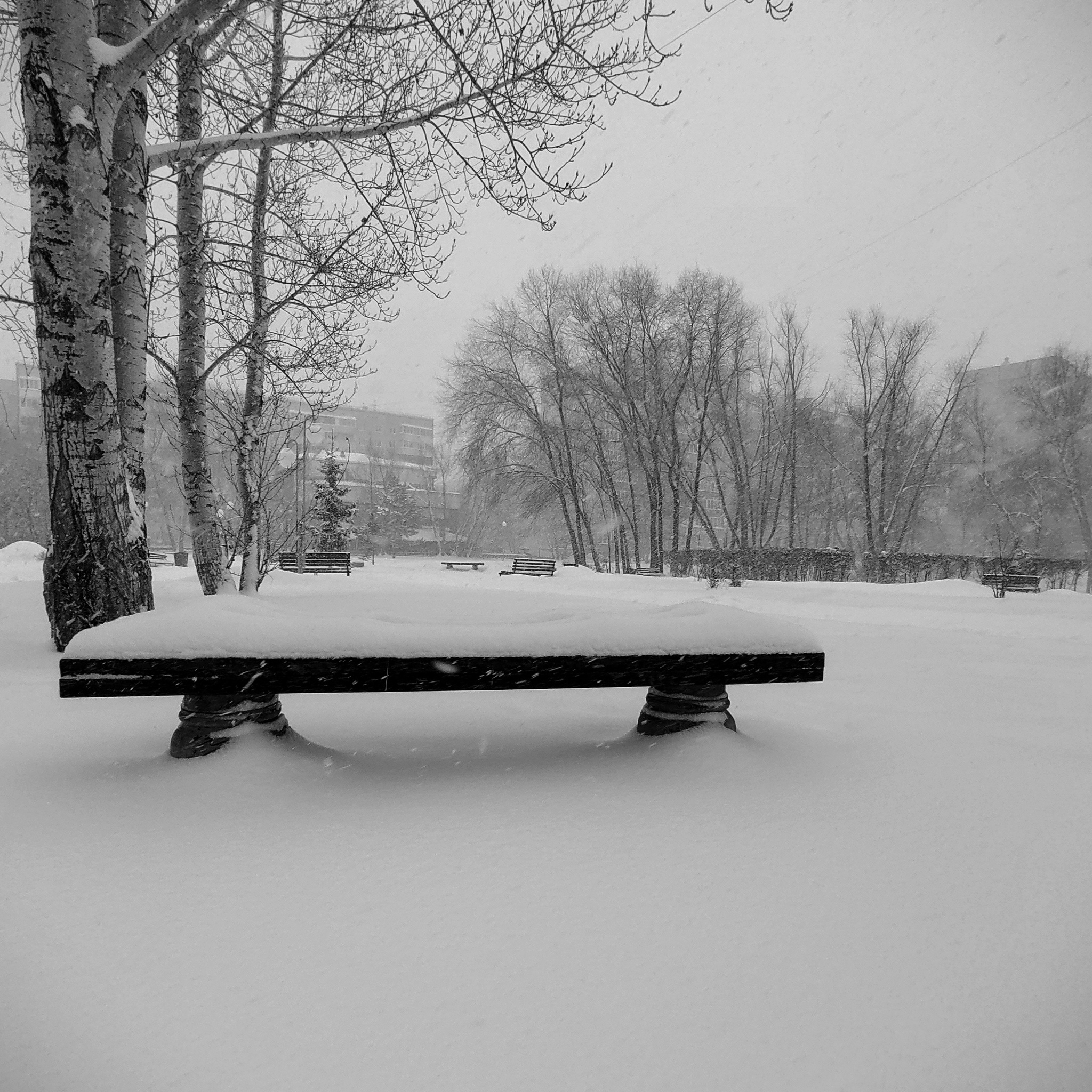 Snowfall Totals Chicagoland Area - 3534661