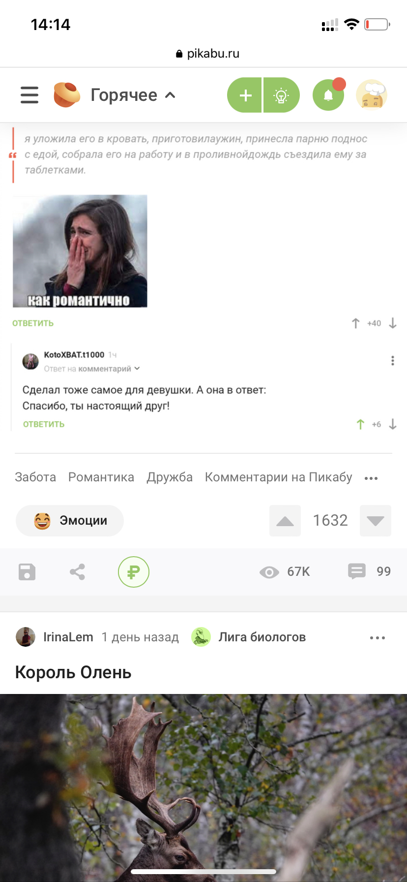 Король Олень | Пикабу
