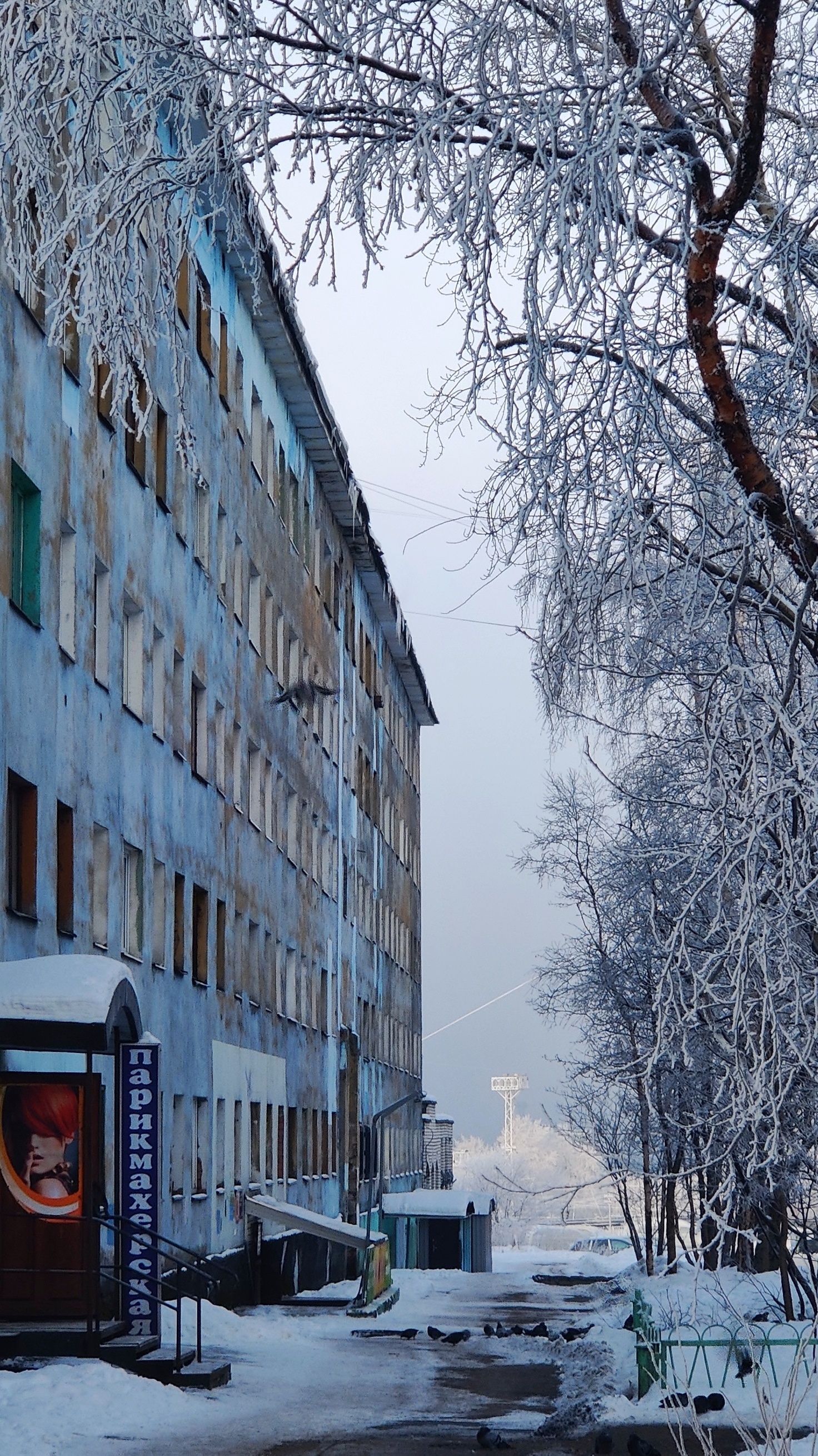 Заиндевелый Мурманск | Пикабу