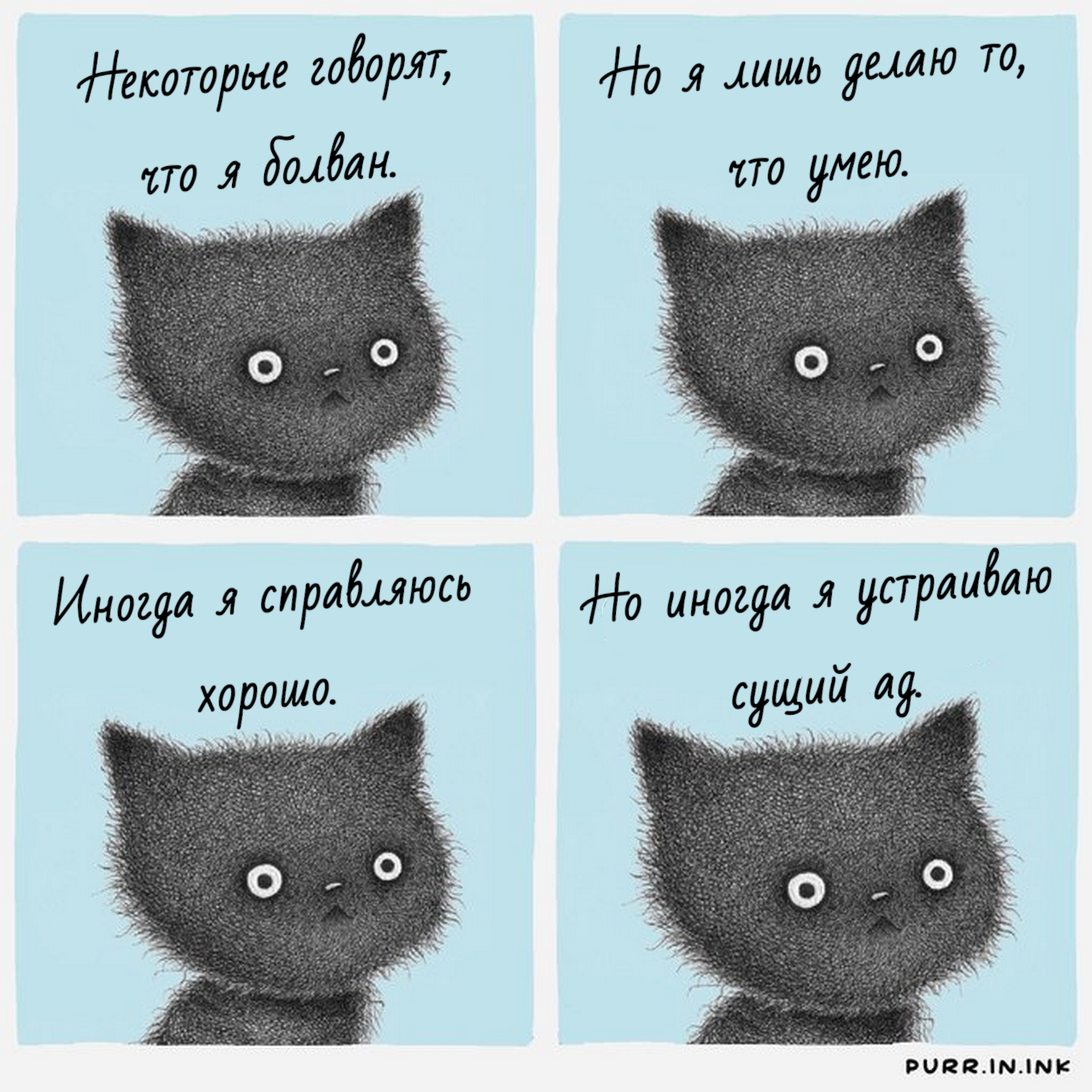 Cute Cat Перевод