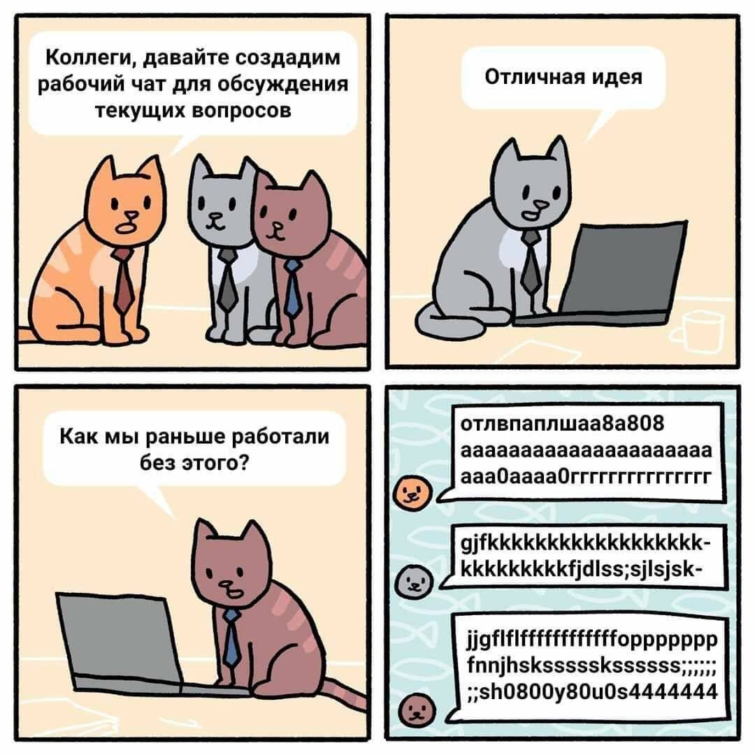 Котячий рабочий чат | Пикабу