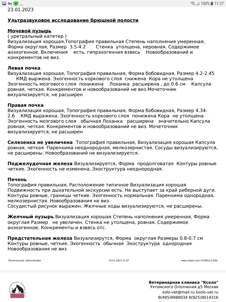 продолжение поста продолжение поста . продолжение поста продолжение поста "sos. очень нужна помощь" пост пик