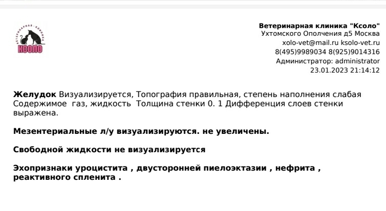 продолжение поста продолжение поста . продолжение поста продолжение поста "sos. очень нужна помощь" пост пик