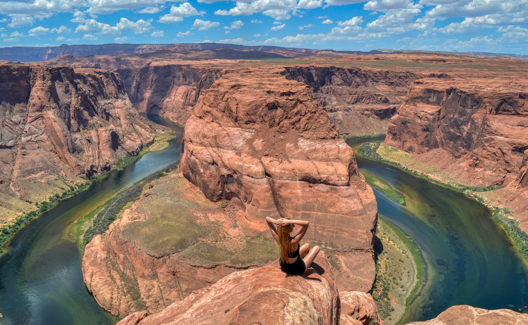 Mule Grand Canyon