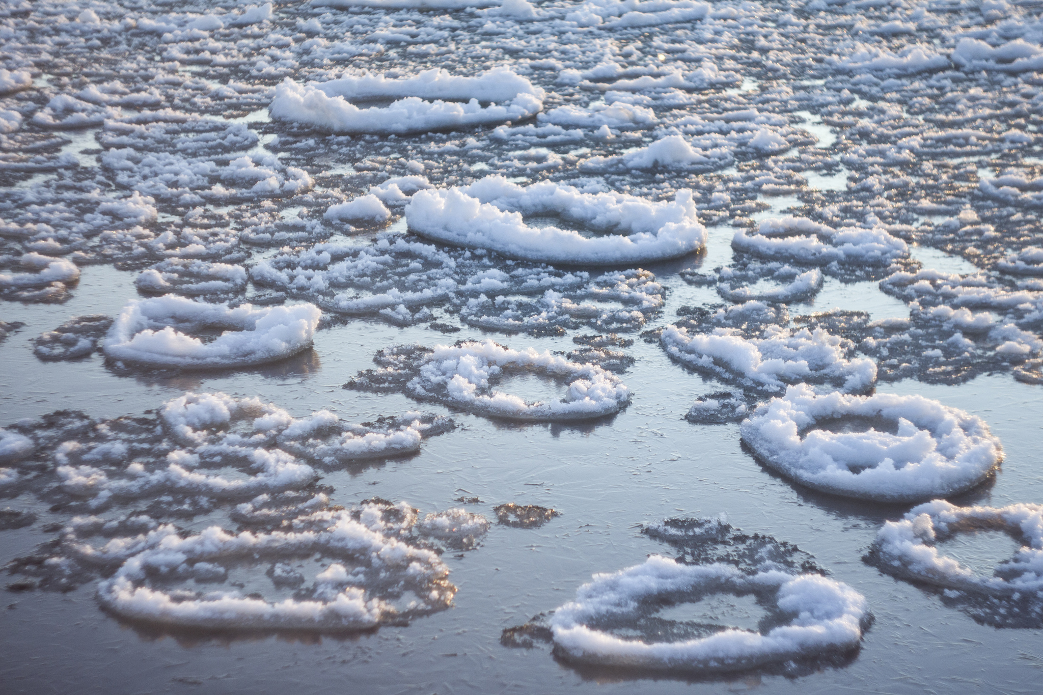 Когда сходит лед на Ладоге: даты, прогноз, факты
