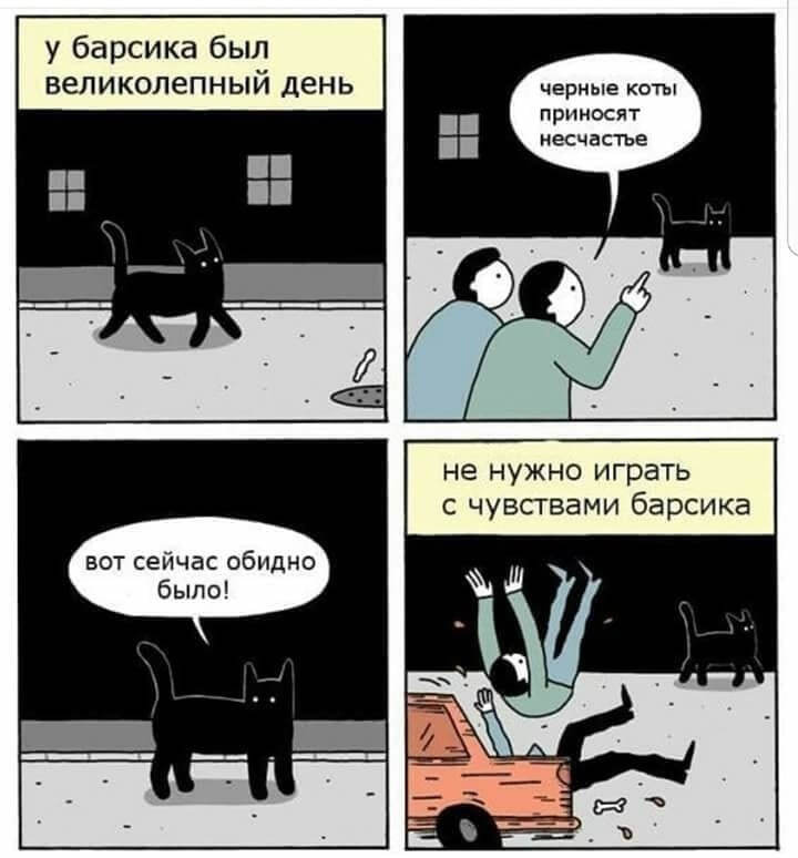 Барсик | Пикабу