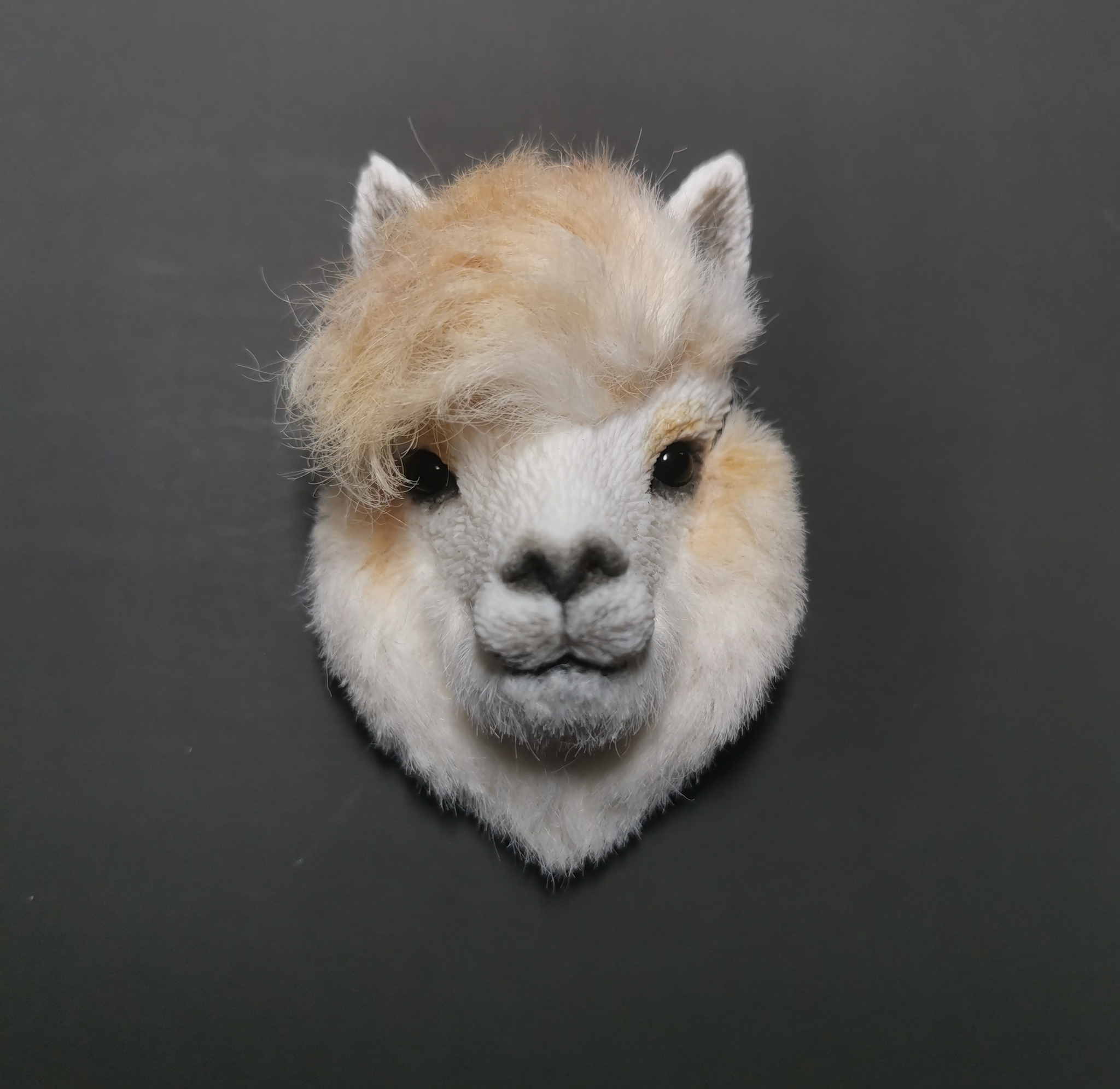 Альпака | Пикабу