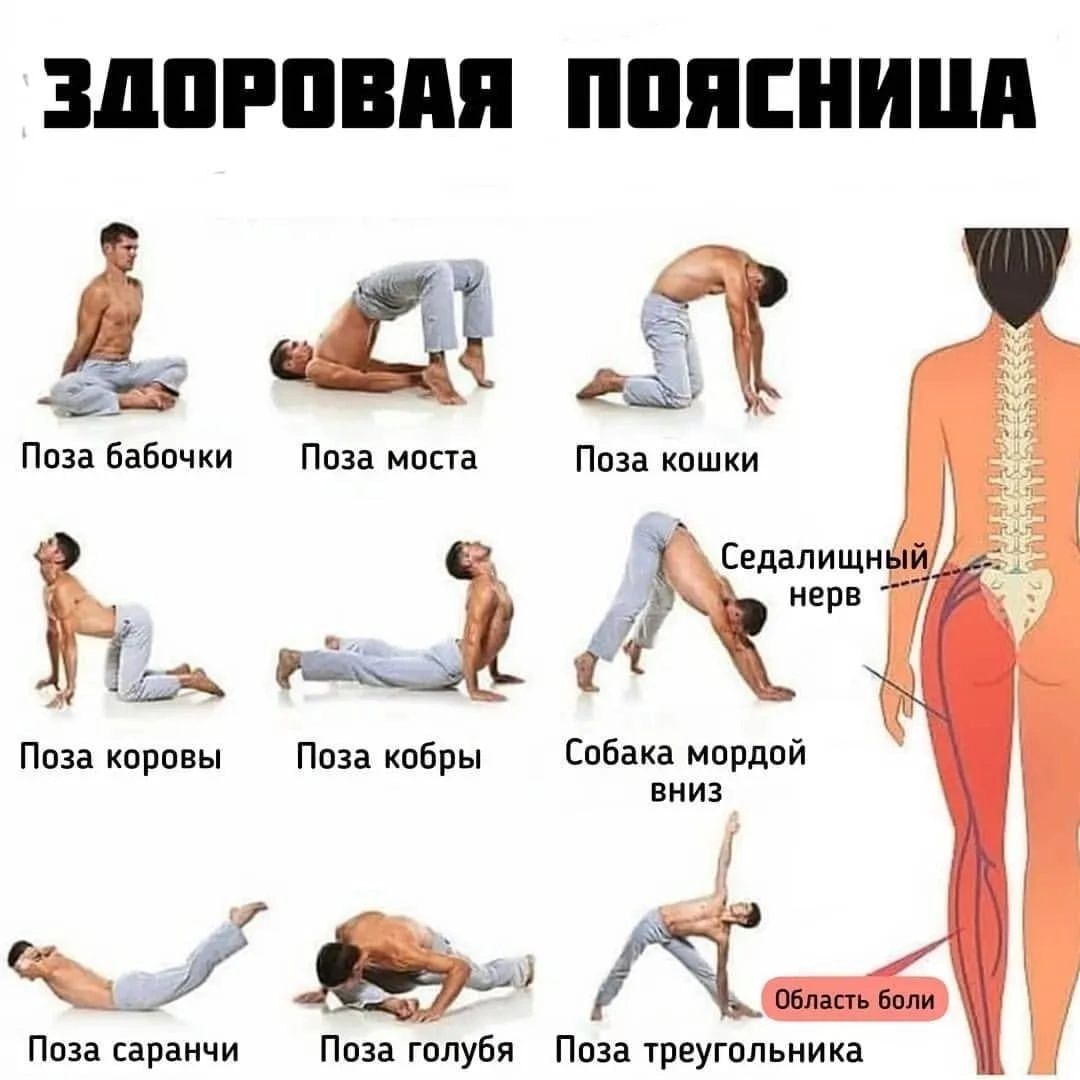 Здоровая поясница | Пикабу